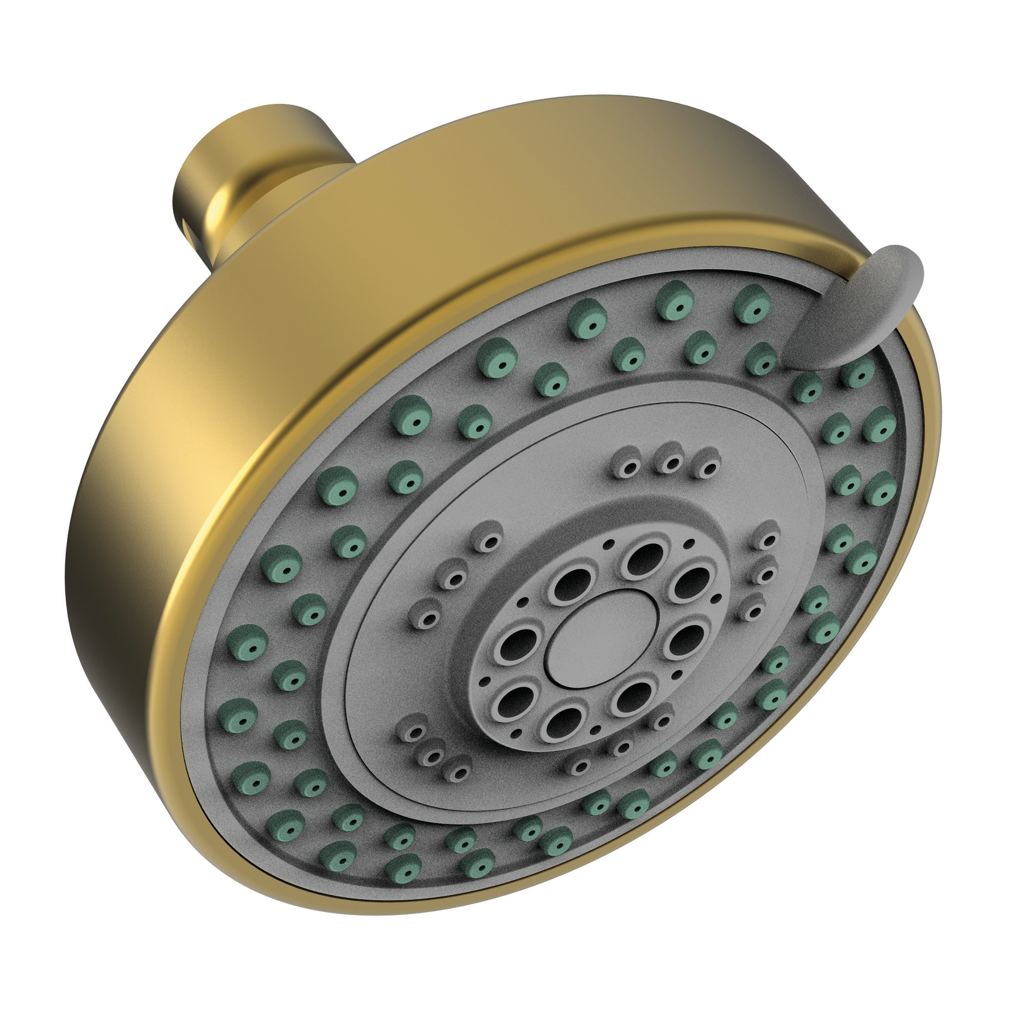 Newport Brass Other Multifunction Showerhead