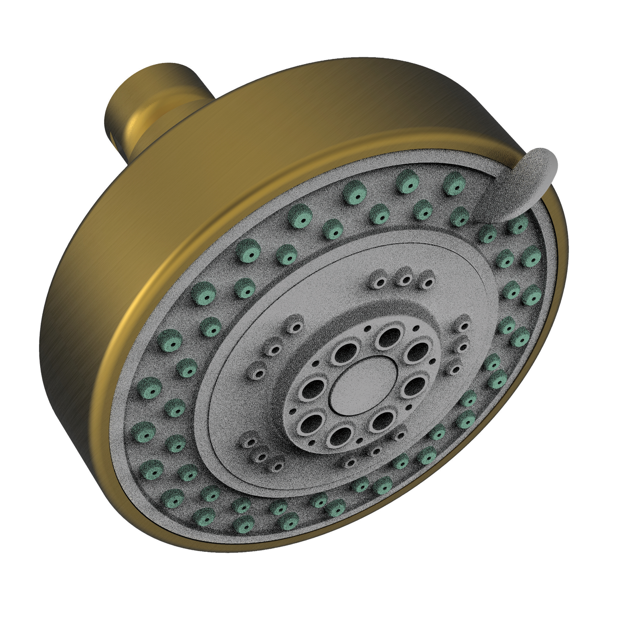 Newport Brass Other Multifunction Showerhead