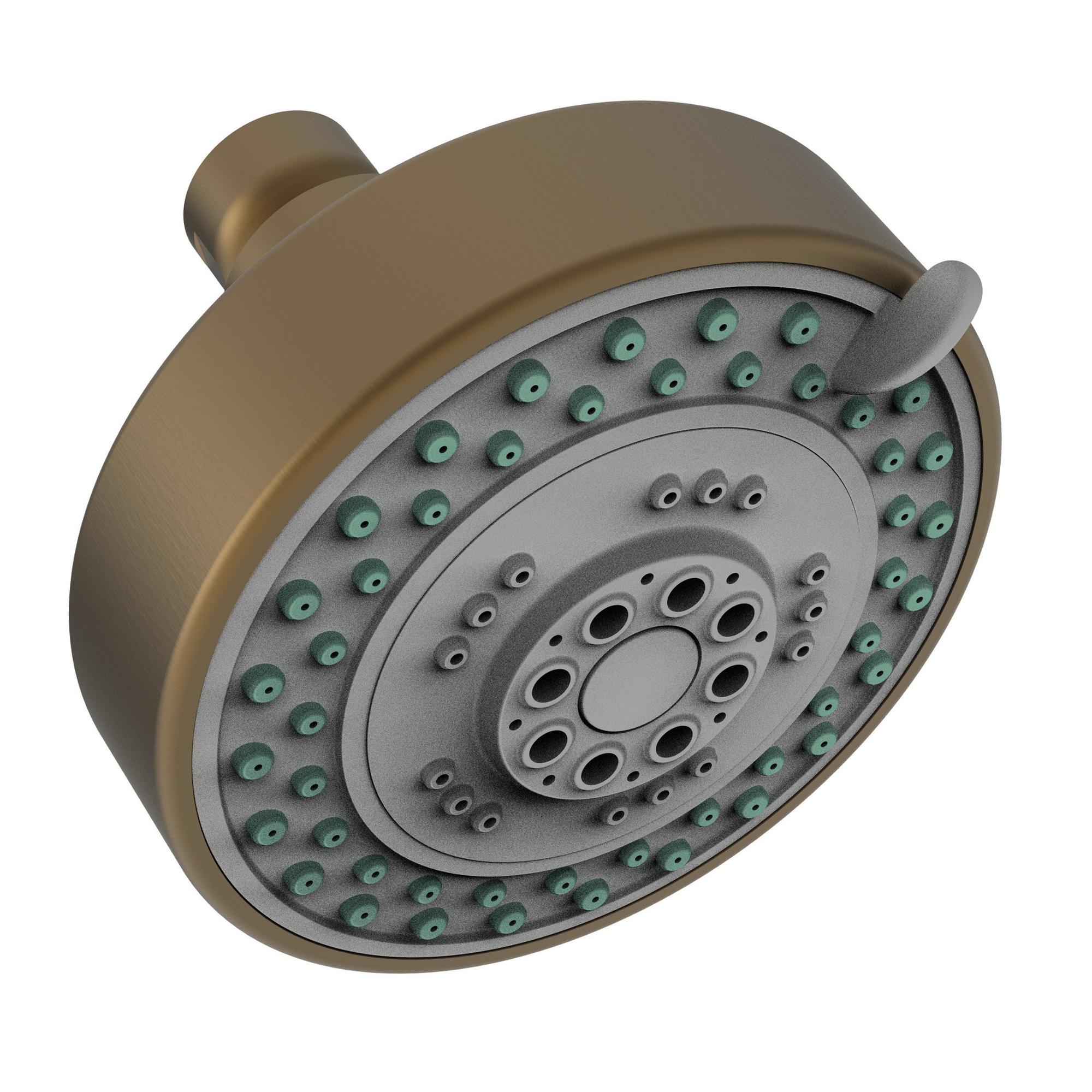 Newport Brass Other Multifunction Showerhead