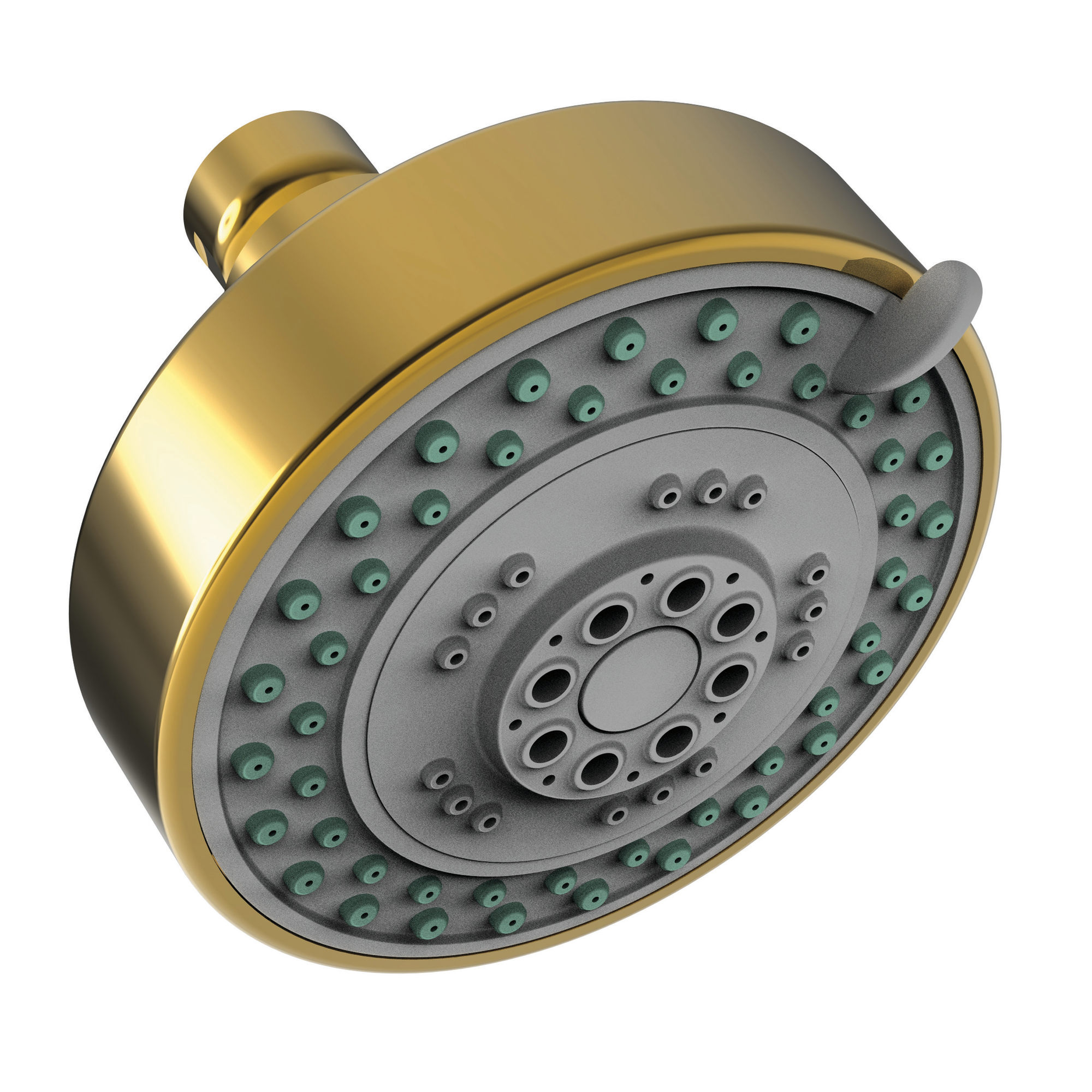 Newport Brass Other Multifunction Showerhead