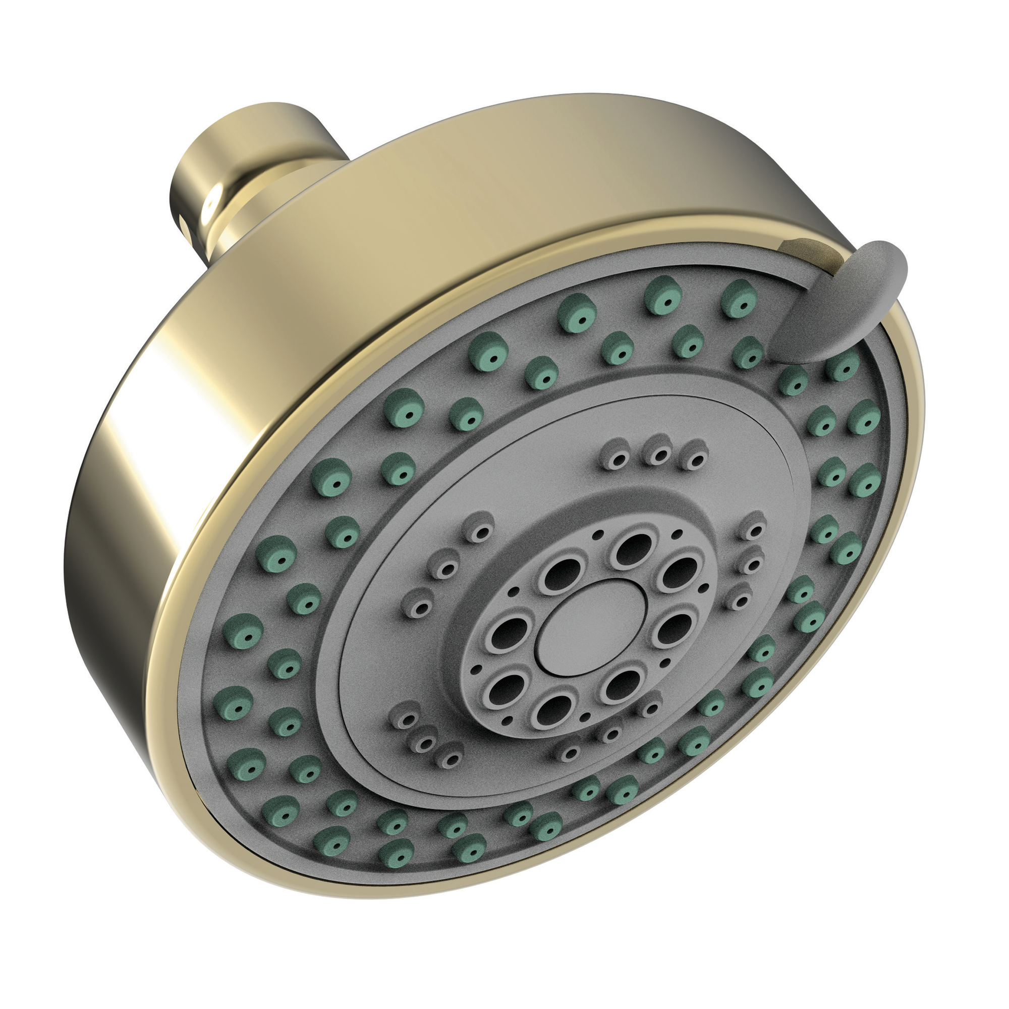 Newport Brass Other Multifunction Showerhead