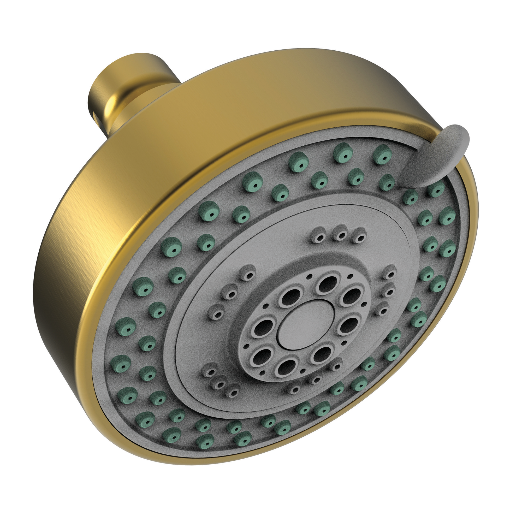 Newport Brass Other Multifunction Showerhead