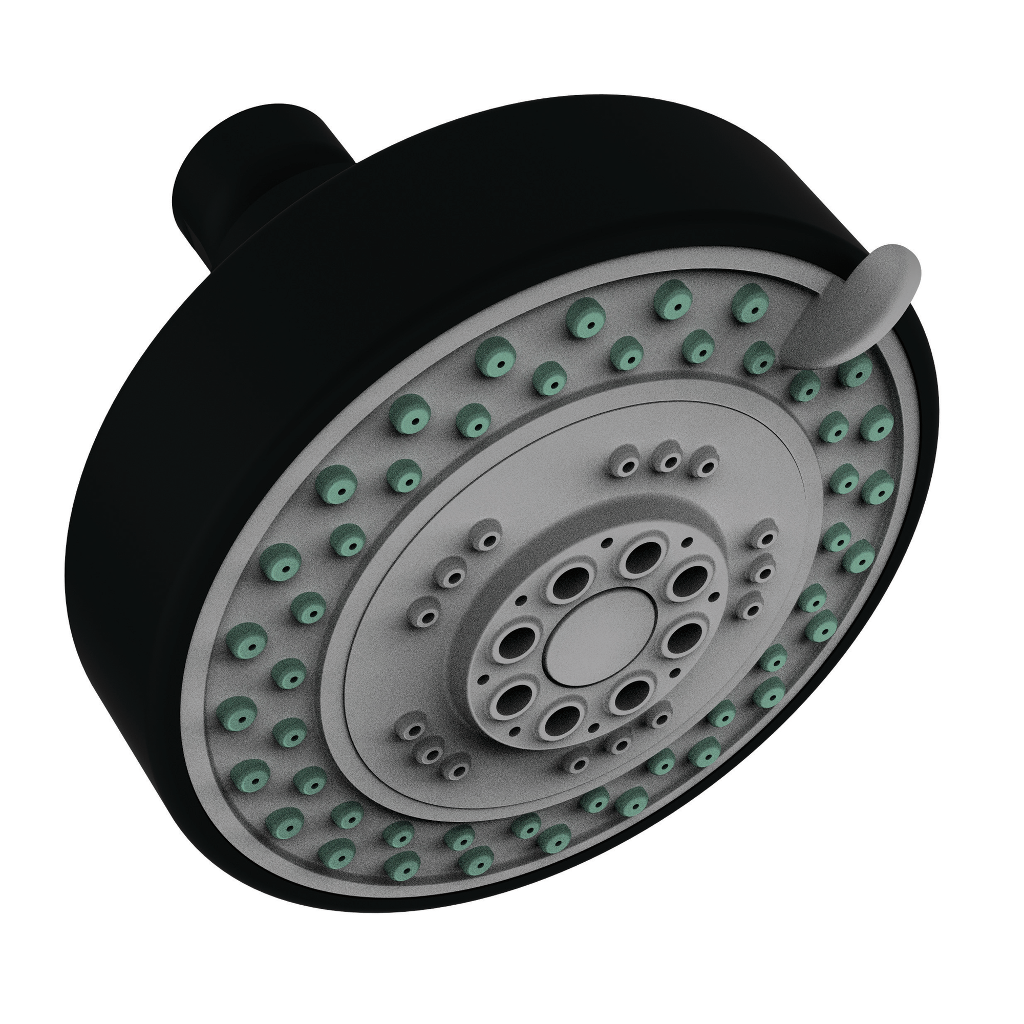 Newport Brass Other Multifunction Showerhead