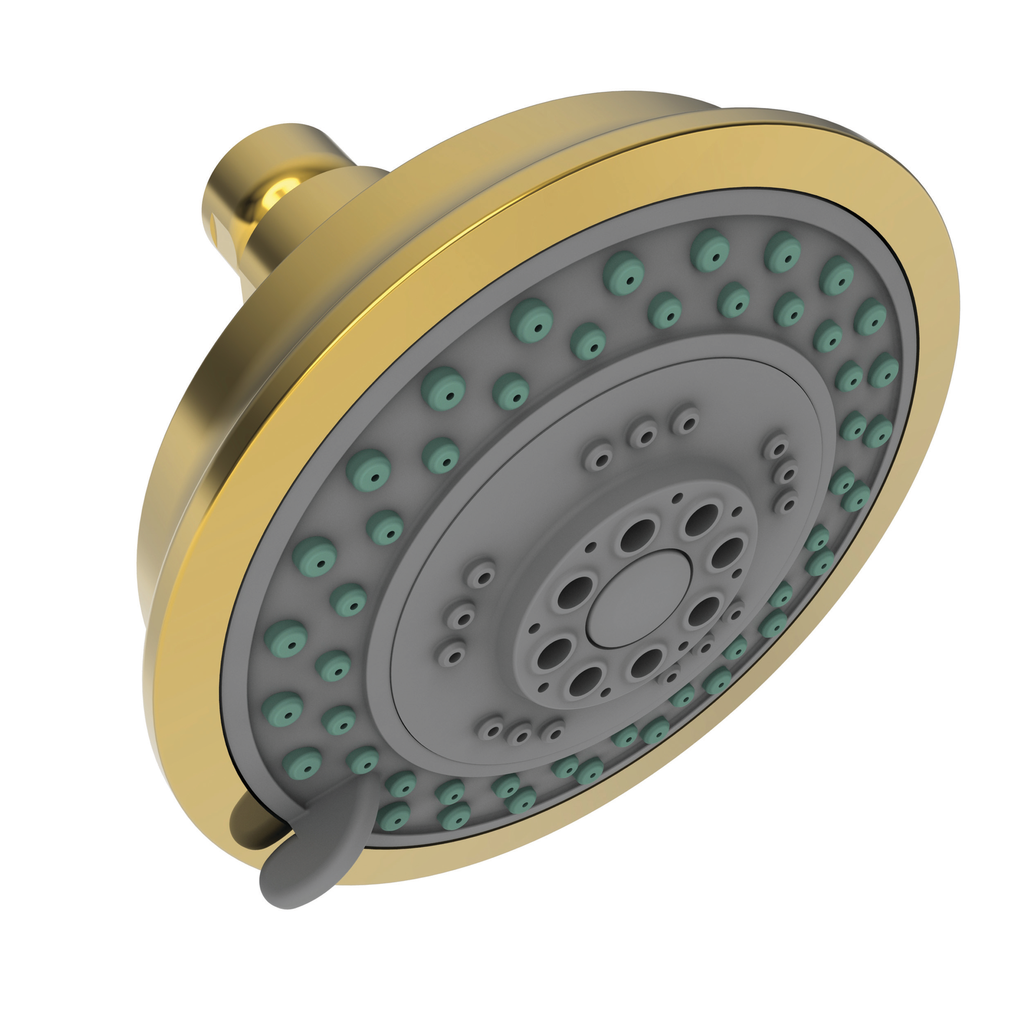 Newport Brass Other Multifunction Showerhead