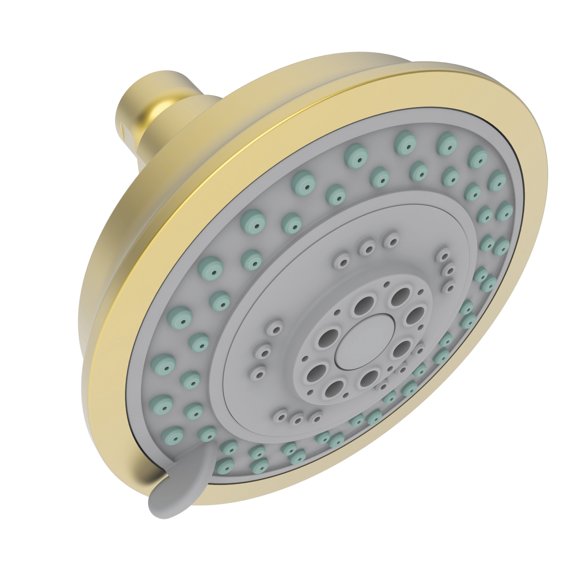 Newport Brass Other Multifunction Showerhead