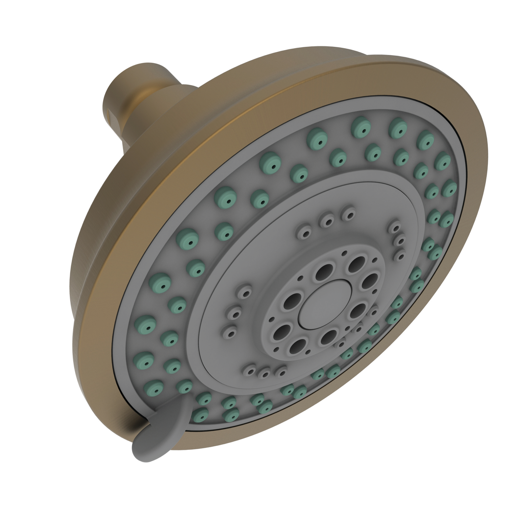 Newport Brass Other Multifunction Showerhead