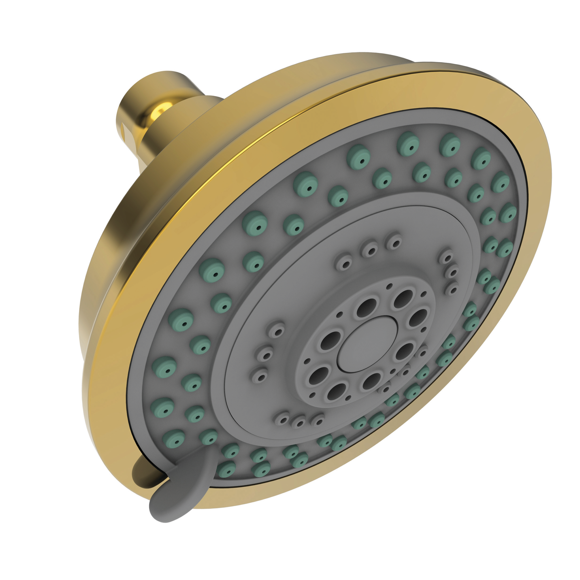 Newport Brass Other Multifunction Showerhead