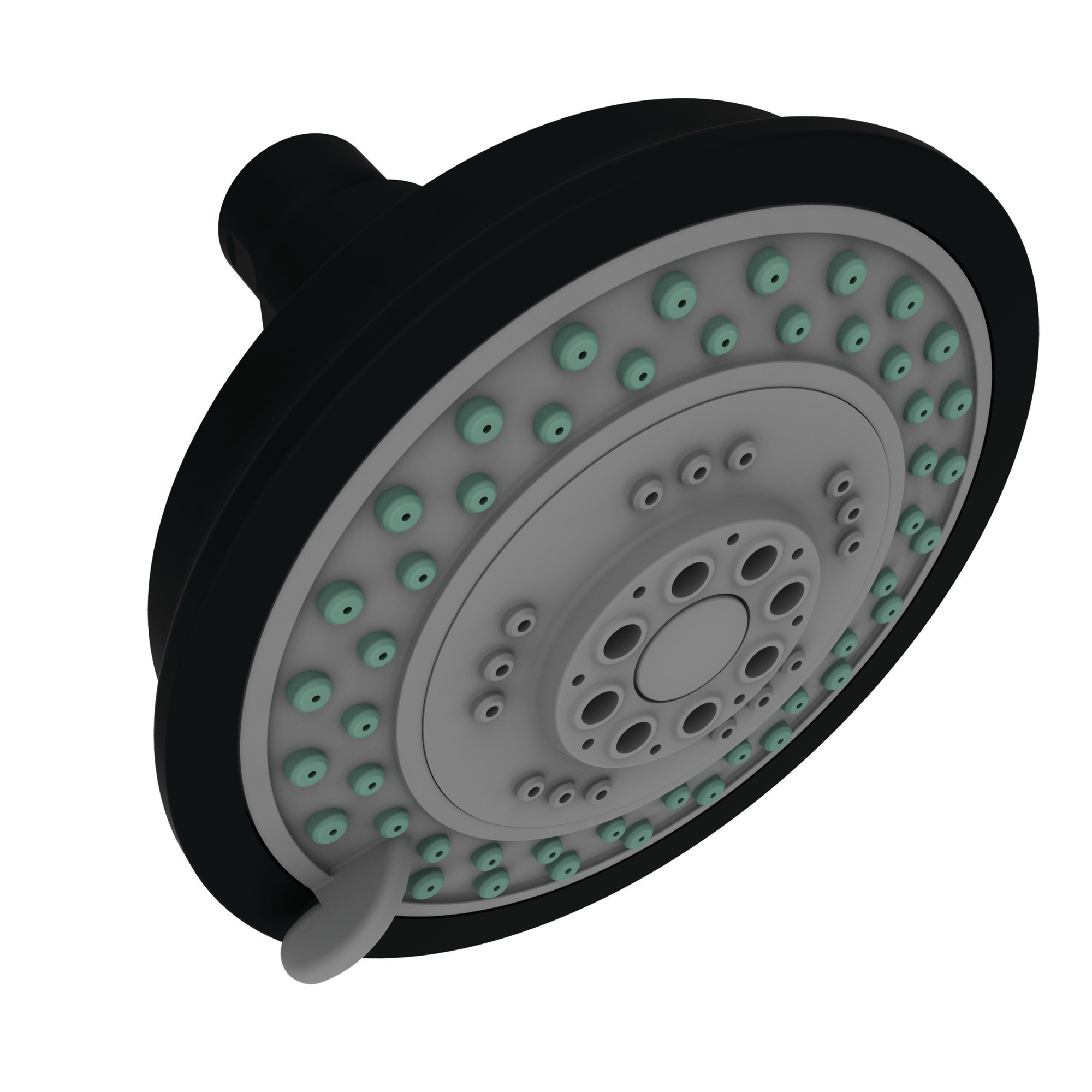 Newport Brass Other Multifunction Showerhead