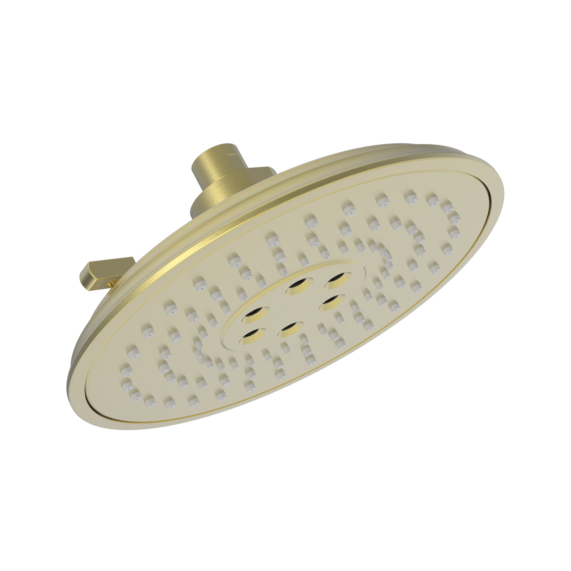 Newport Brass Luxnetic Luxnetic Multifunction Showerhead