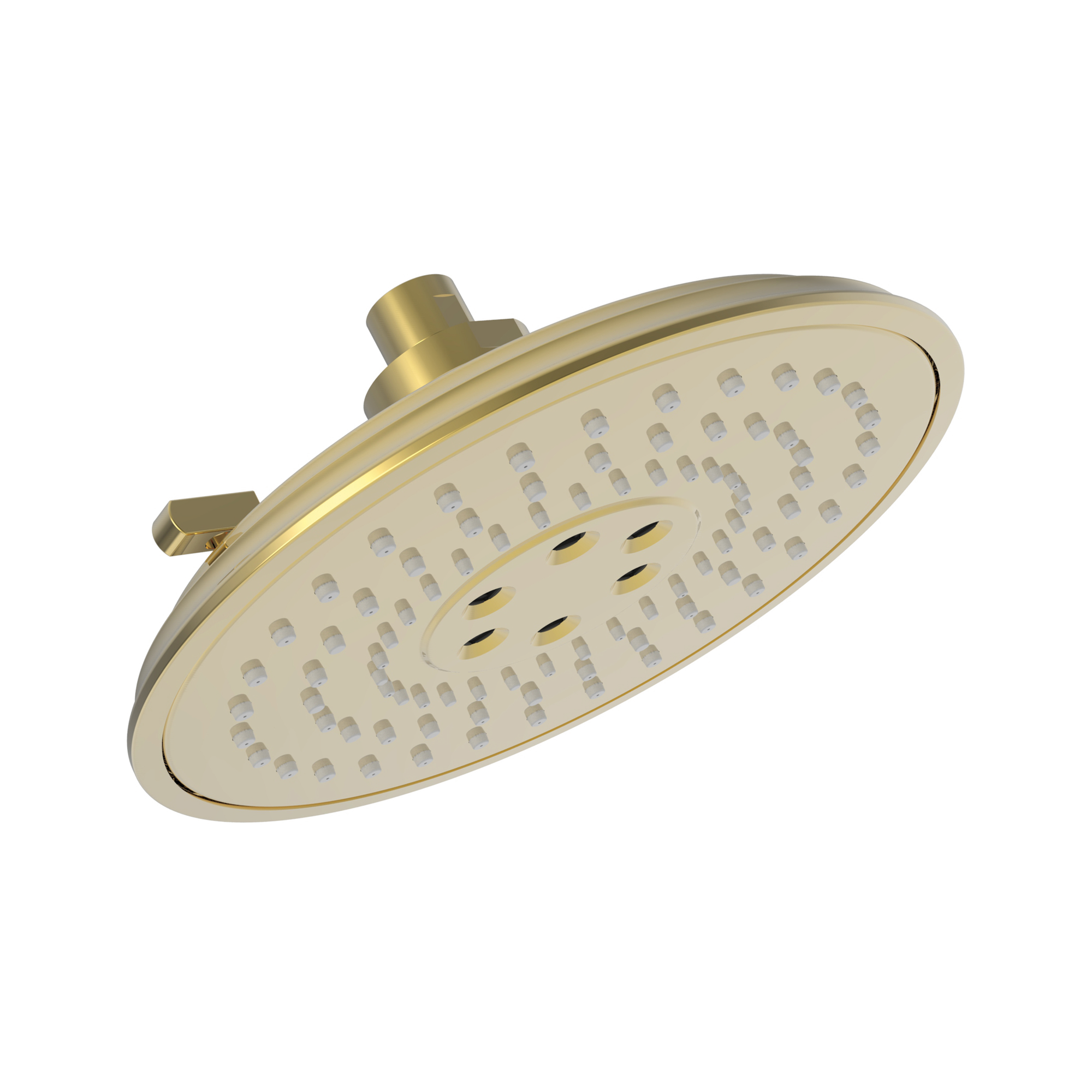 Newport Brass Luxnetic Luxnetic Multifunction Showerhead