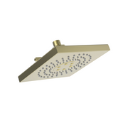 Newport Brass Luxnetic Luxnetic Multifunction Showerhead