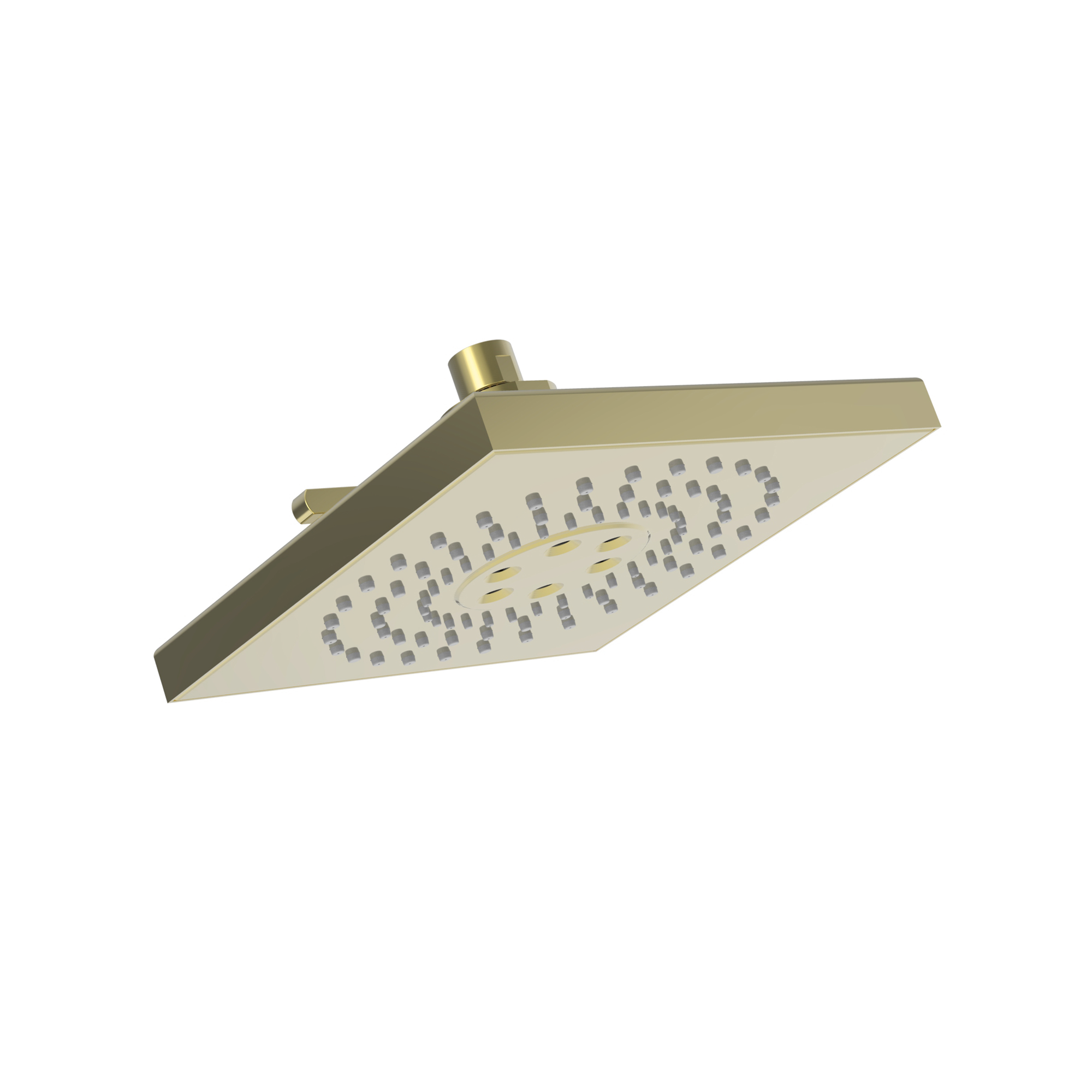 Newport Brass Luxnetic Luxnetic Multifunction Showerhead