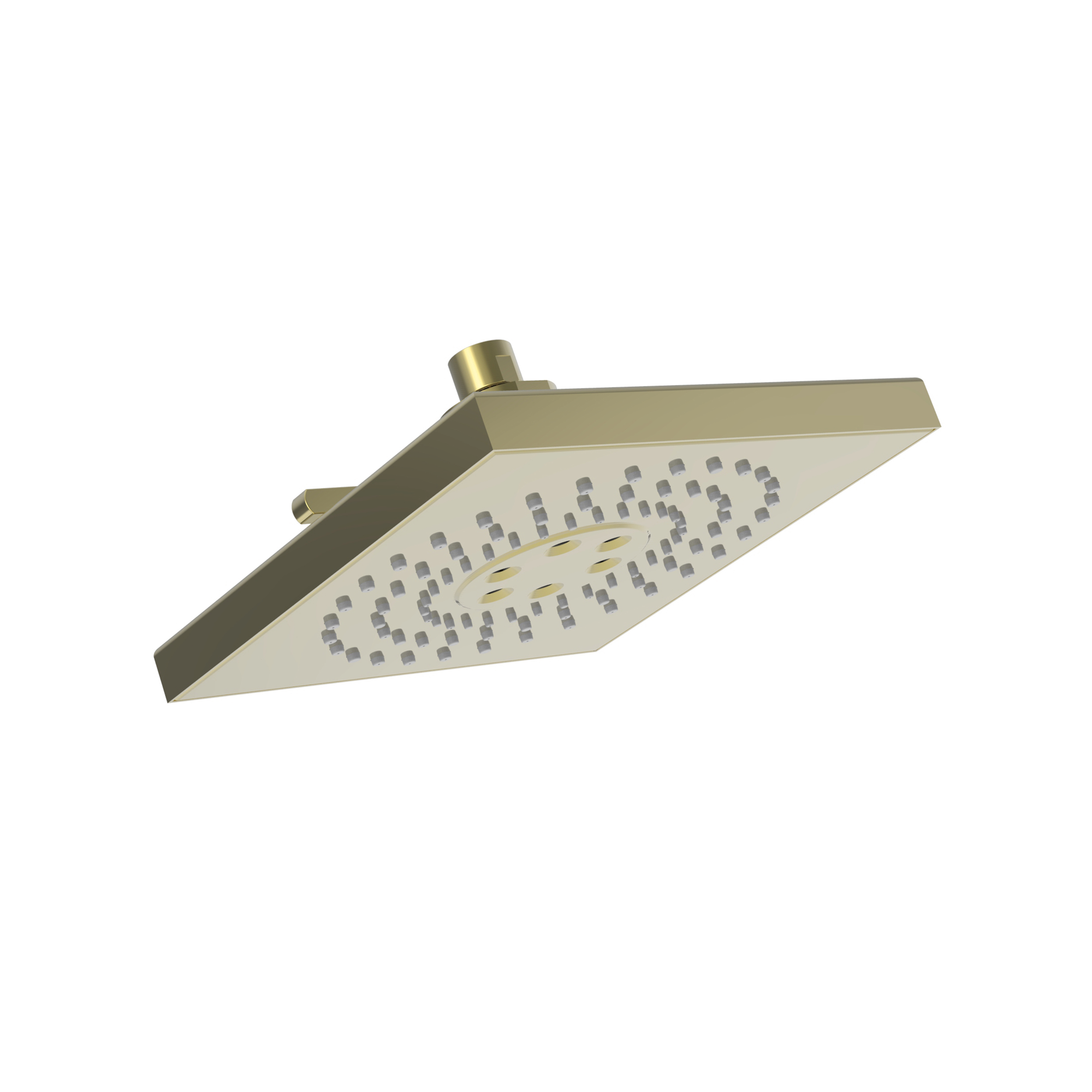 Newport Brass Luxnetic Luxnetic Multifunction Showerhead