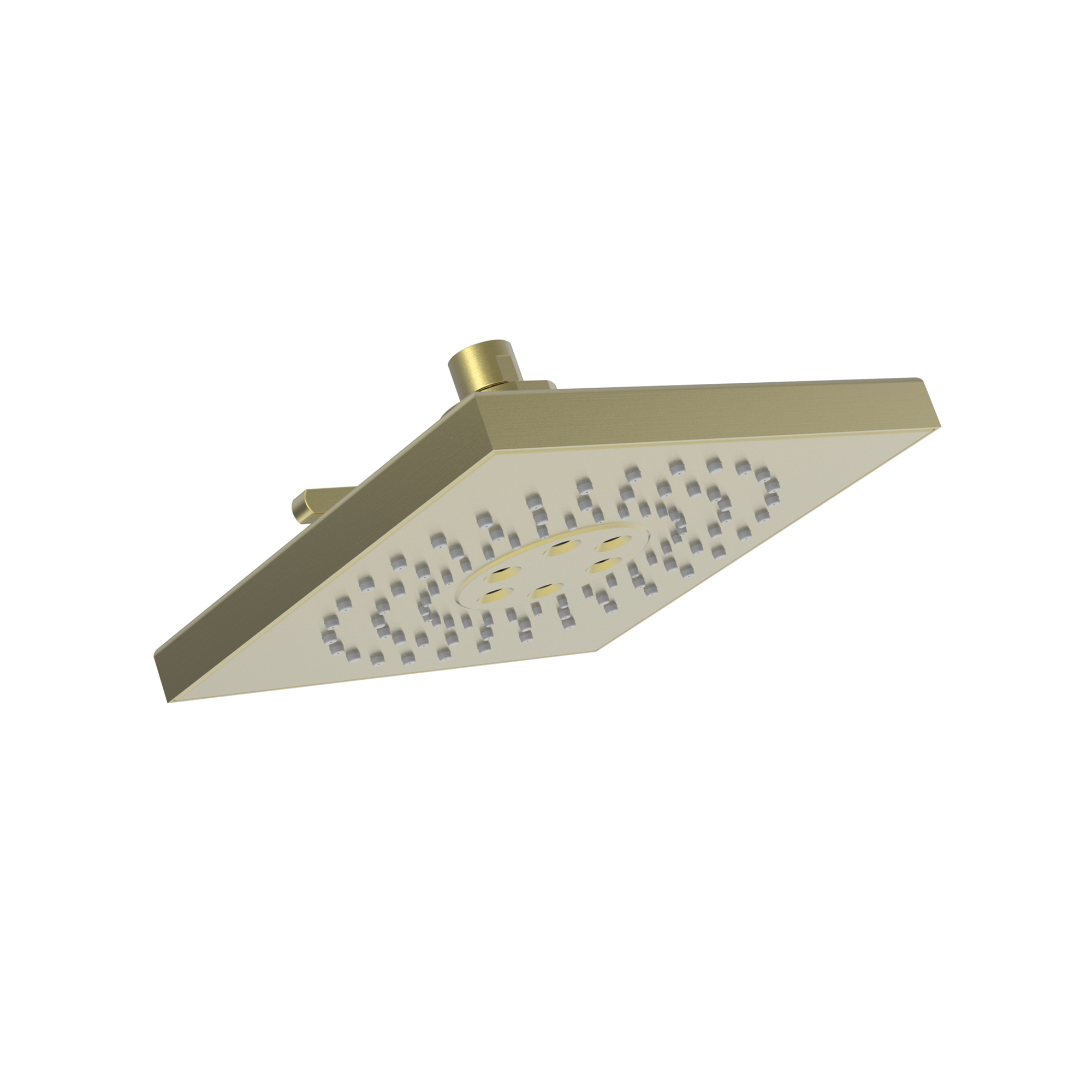 Newport Brass Luxnetic Luxnetic Multifunction Showerhead