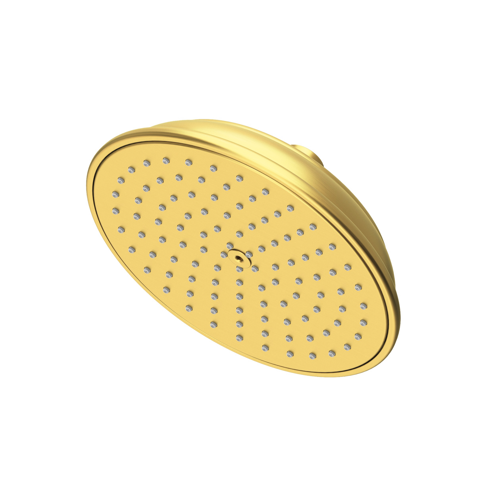 Newport Brass Other Rainfall Shower Head