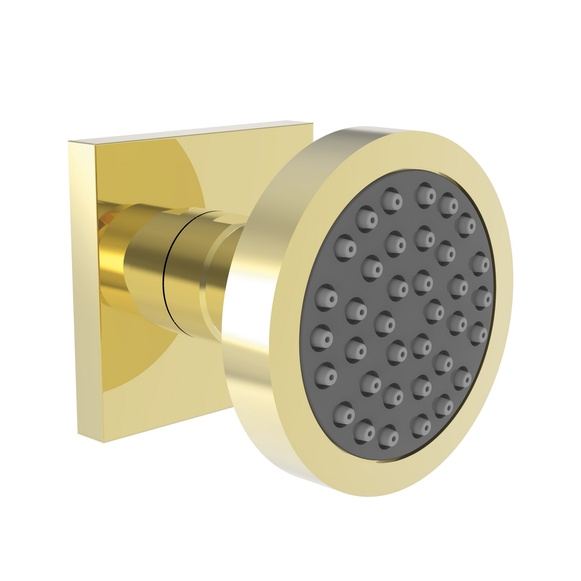 Newport Brass Other Body Spray