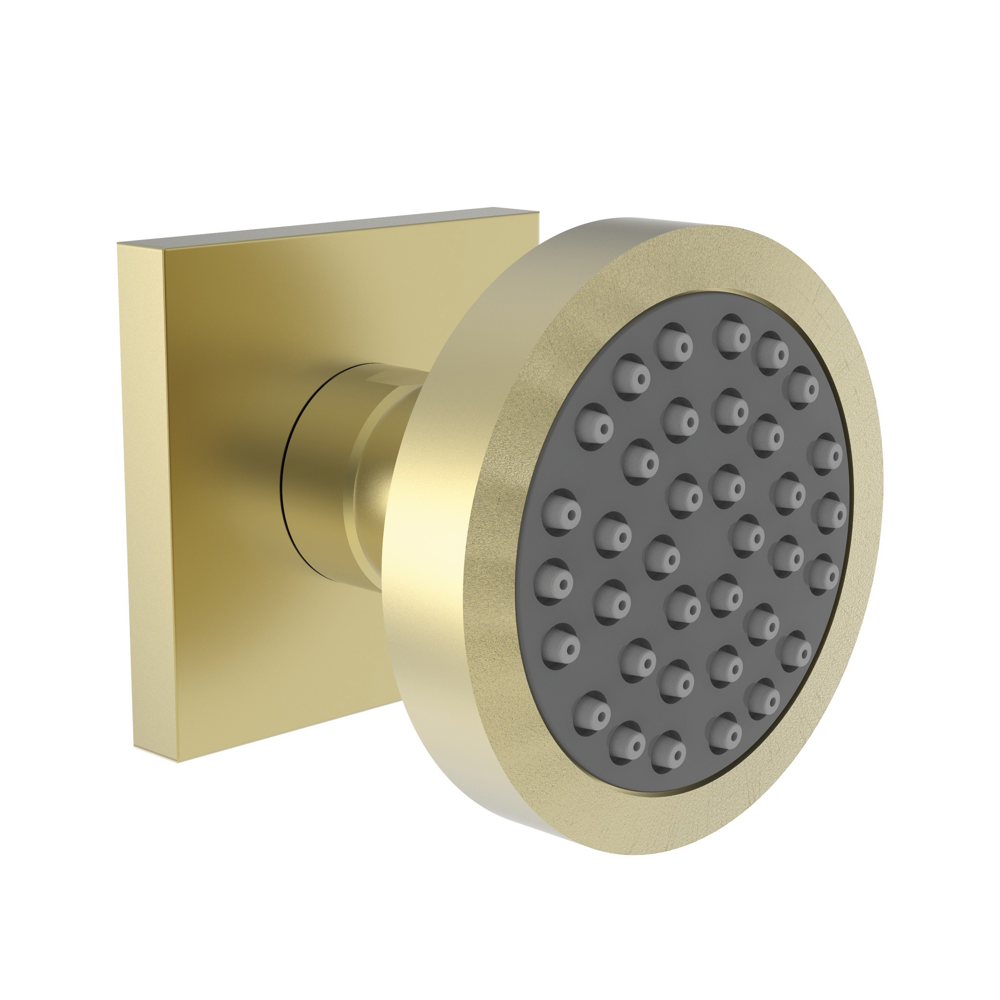 Newport Brass Other Body Spray