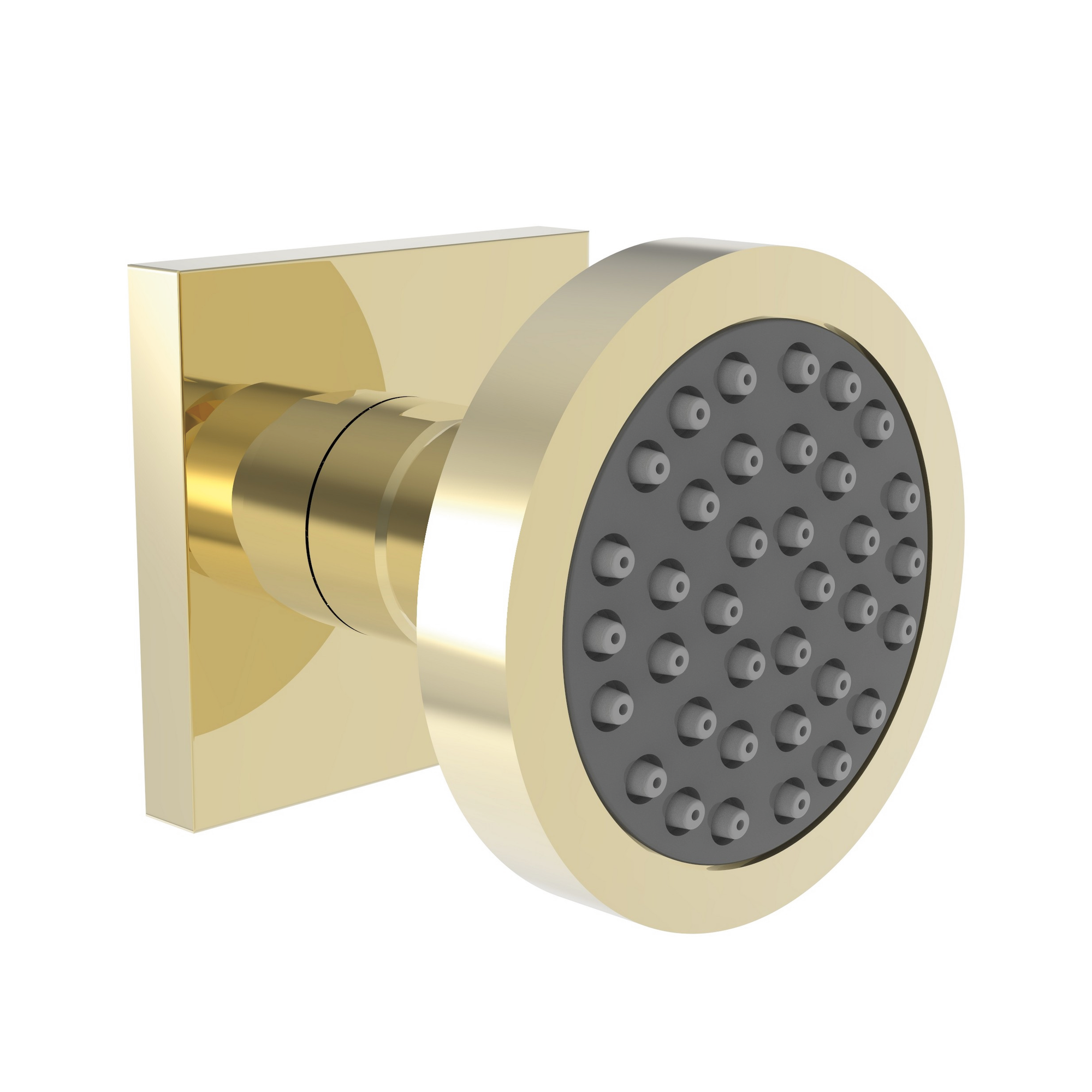 Newport Brass Other Body Spray