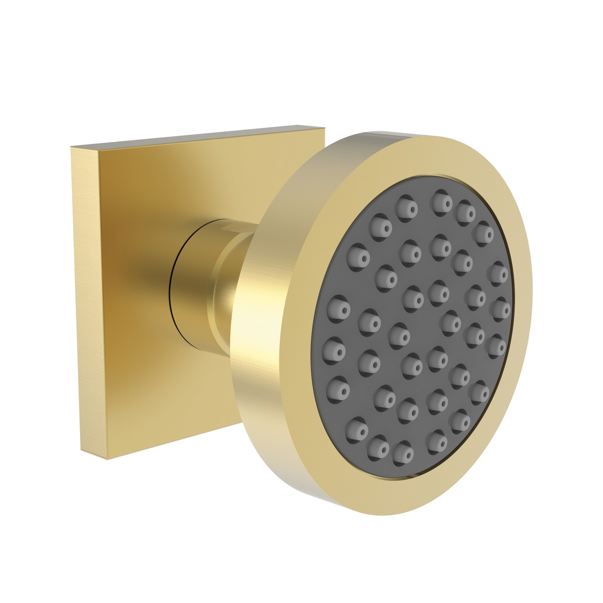 Newport Brass Other Body Spray