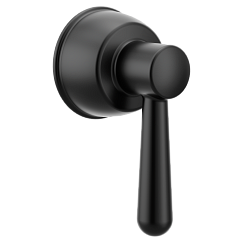 Moen Handle kit 217592