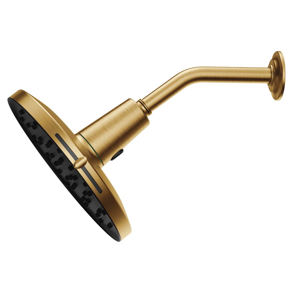 Verso Adjustable 9" Diameter Spray Head Rainshower