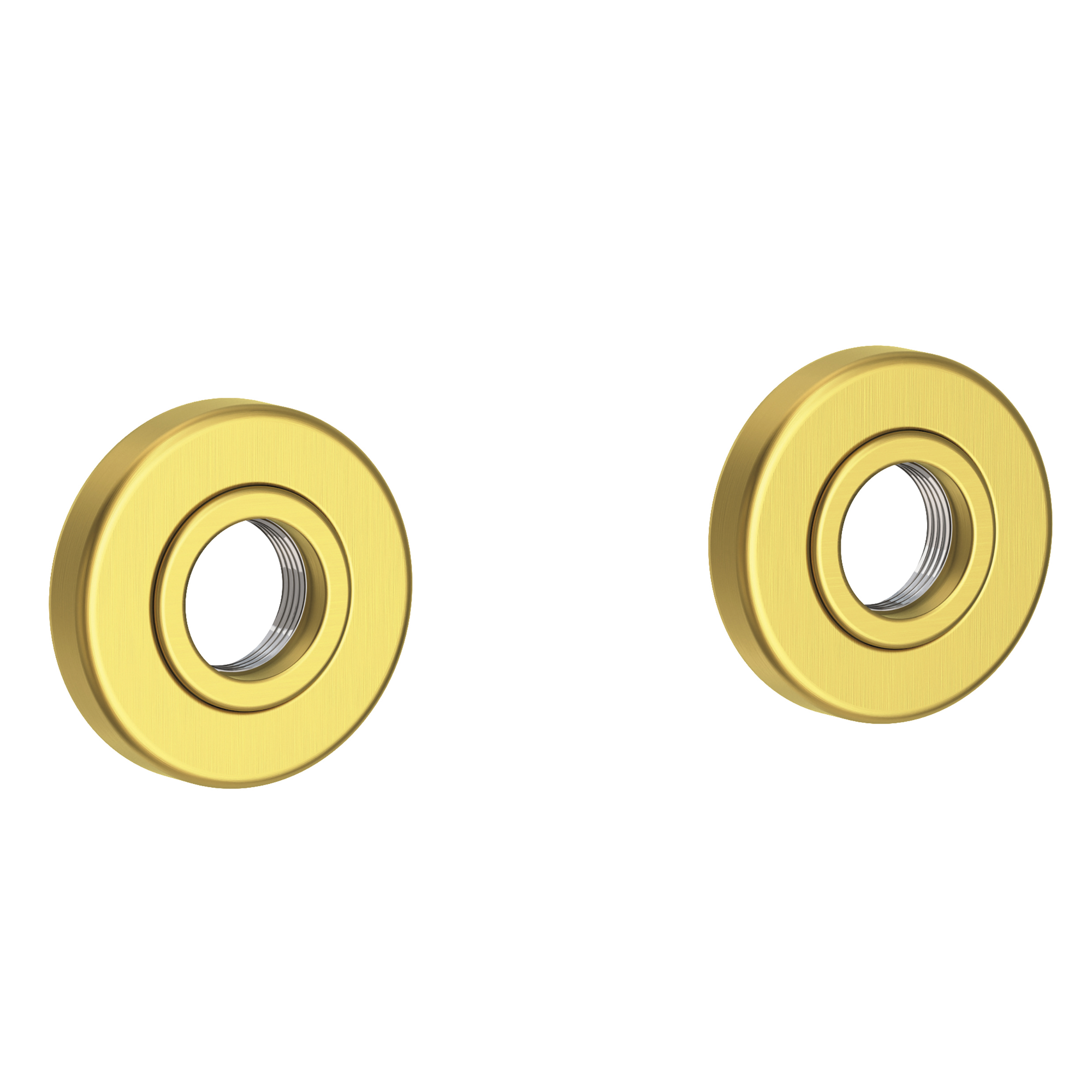 Newport Brass Priya® Grab Bar Decorative Rings & Mounting Kit