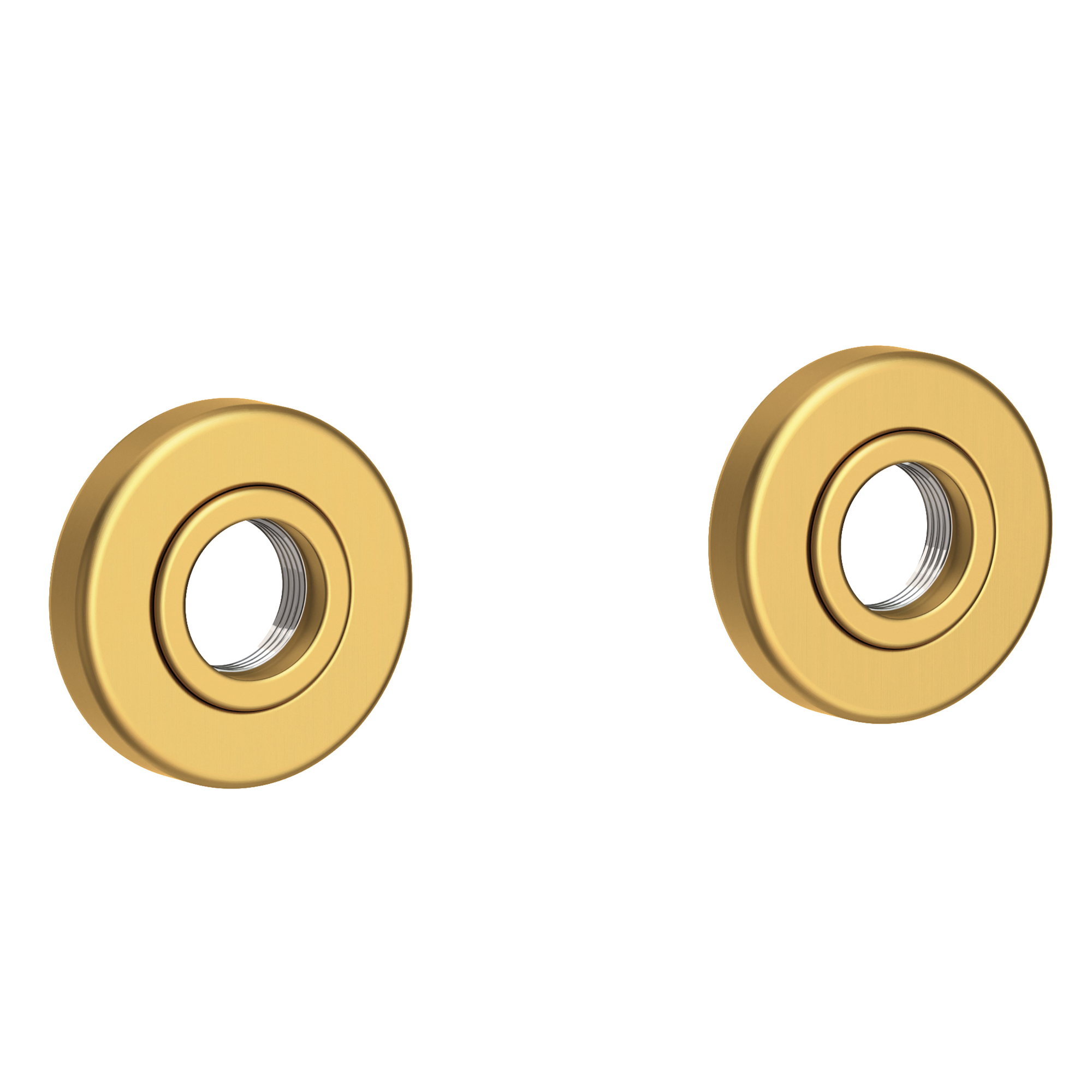 Newport Brass Priya® Grab Bar Decorative Rings & Mounting Kit