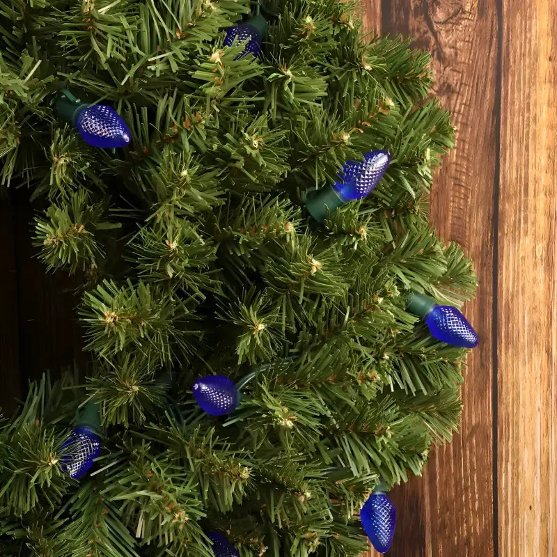 25 C7 Blue LED Christmas Lights, 8" Spacing