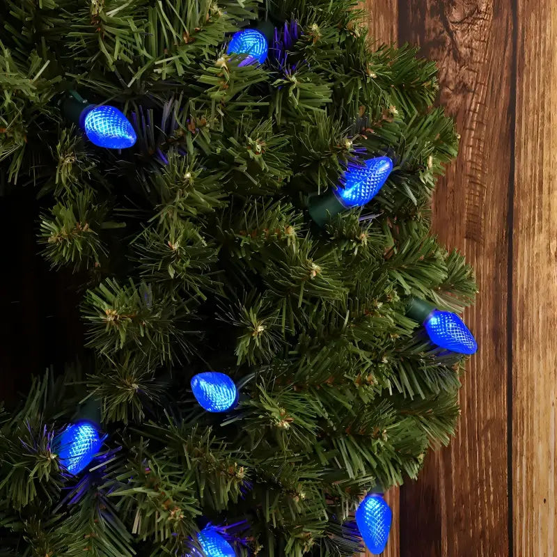 25 C7 Blue LED Christmas Lights, 8" Spacing