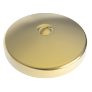 Newport Brass Brasstech Waste & Overflow Faceplate