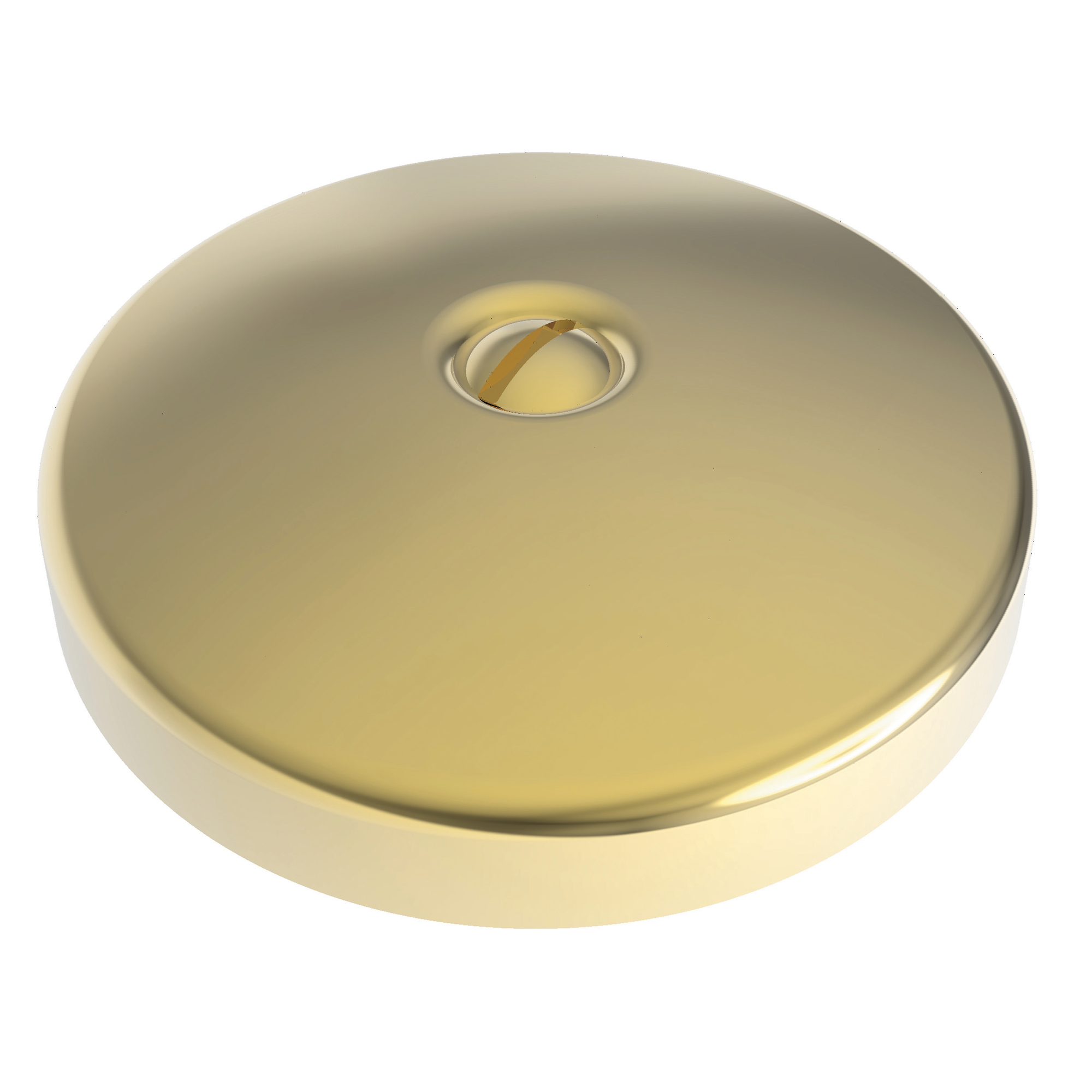 Newport Brass Brasstech Waste & Overflow Faceplate