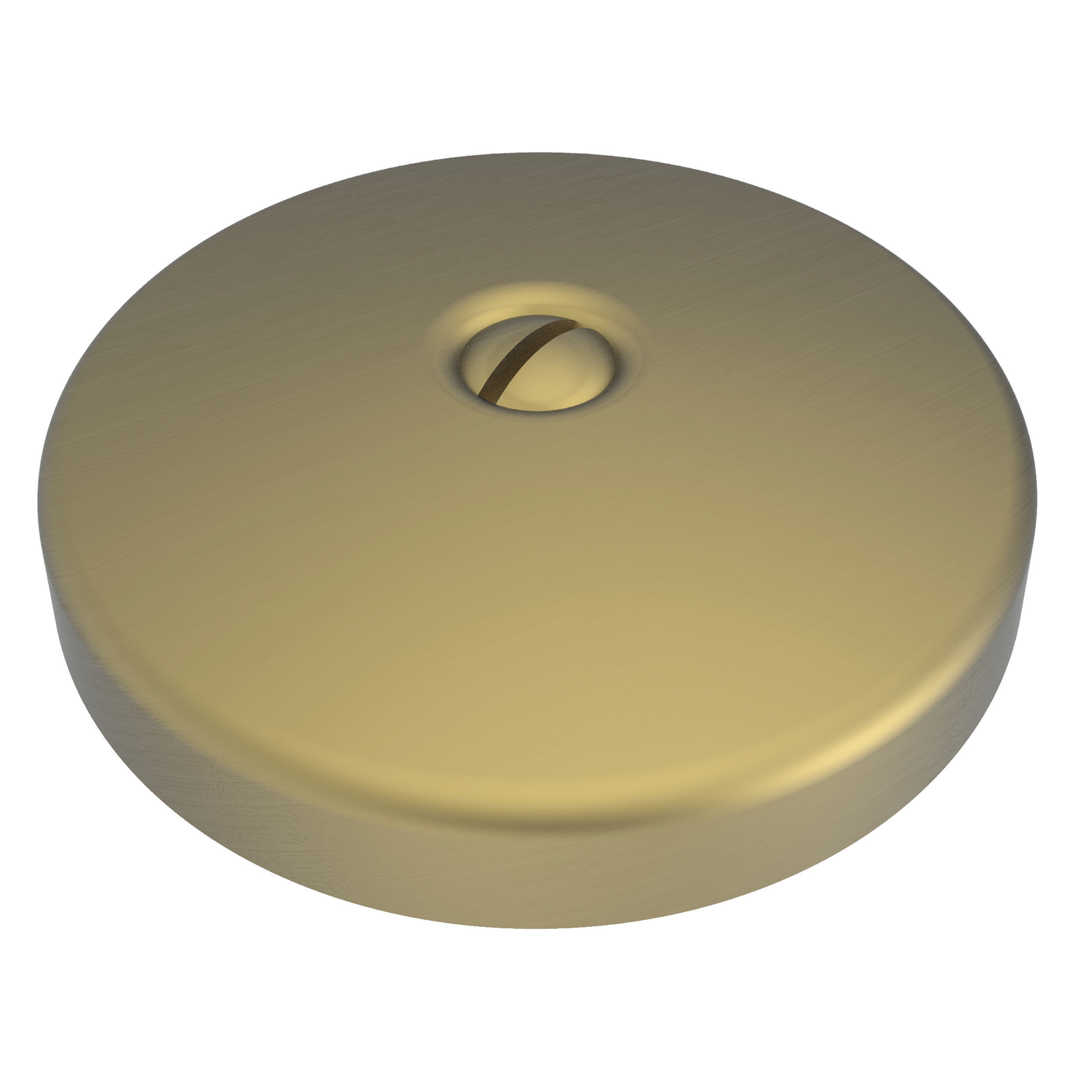 Newport Brass Brasstech Waste & Overflow Faceplate