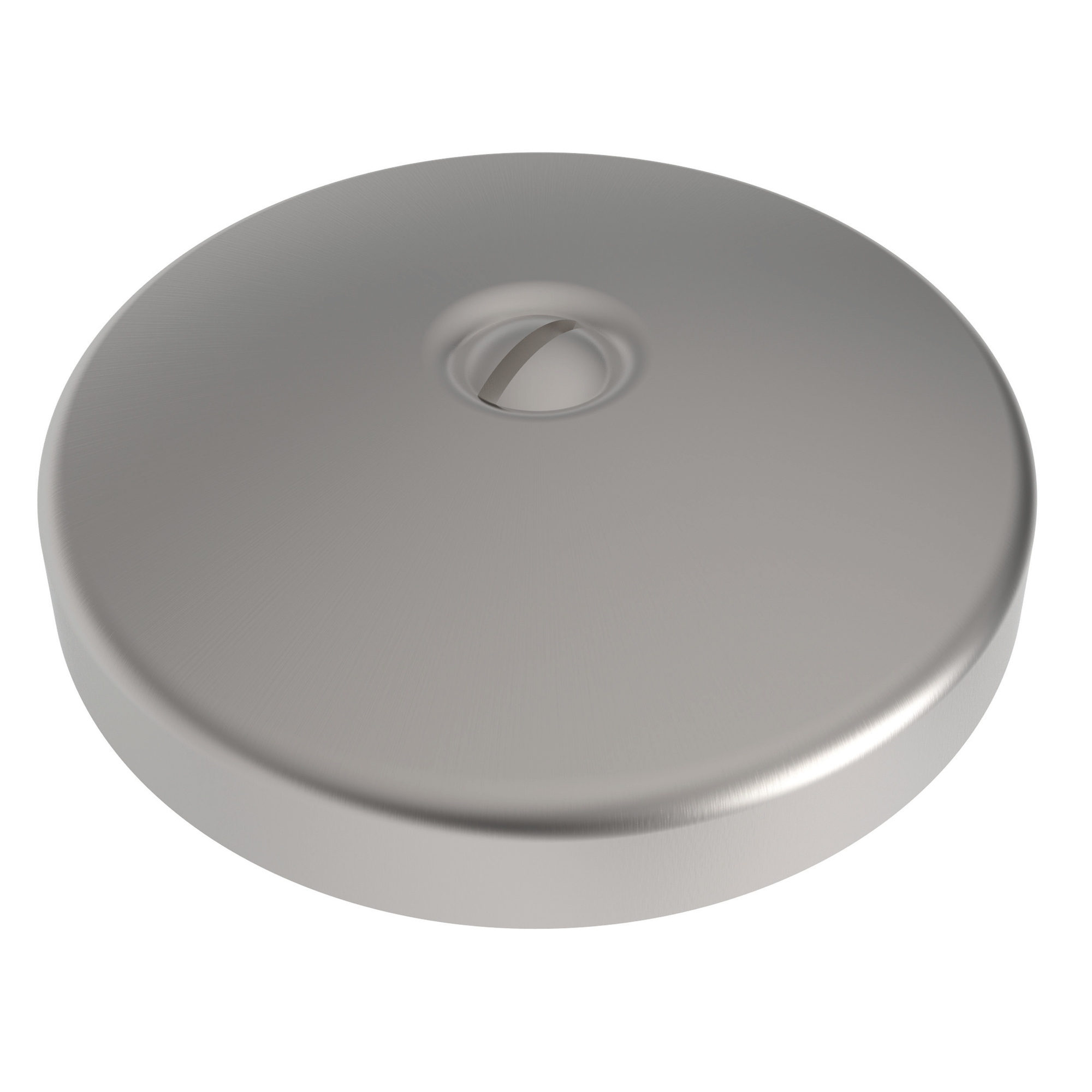Newport Brass Brasstech Waste & Overflow Faceplate