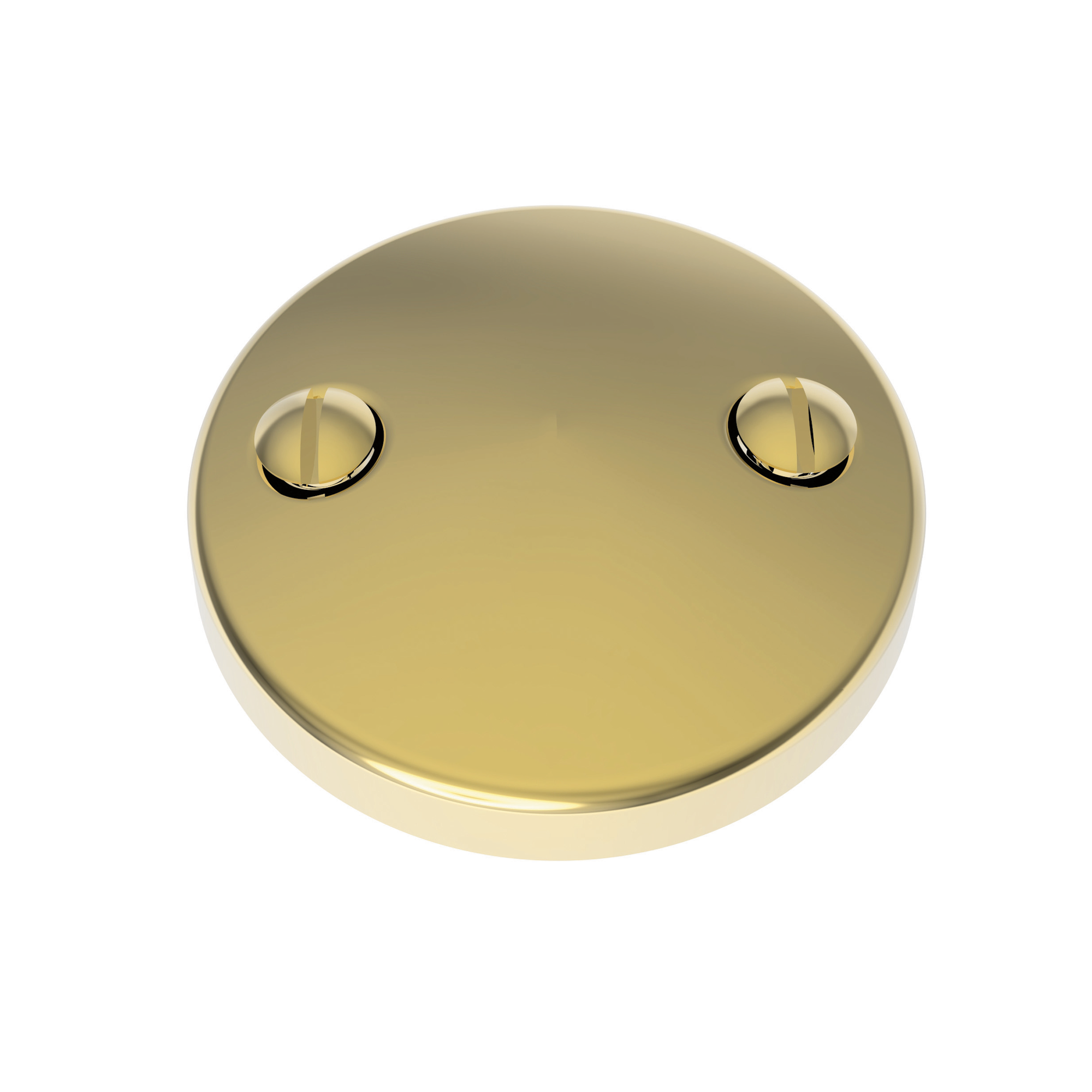Newport Brass Brasstech Waste & Overflow Faceplate