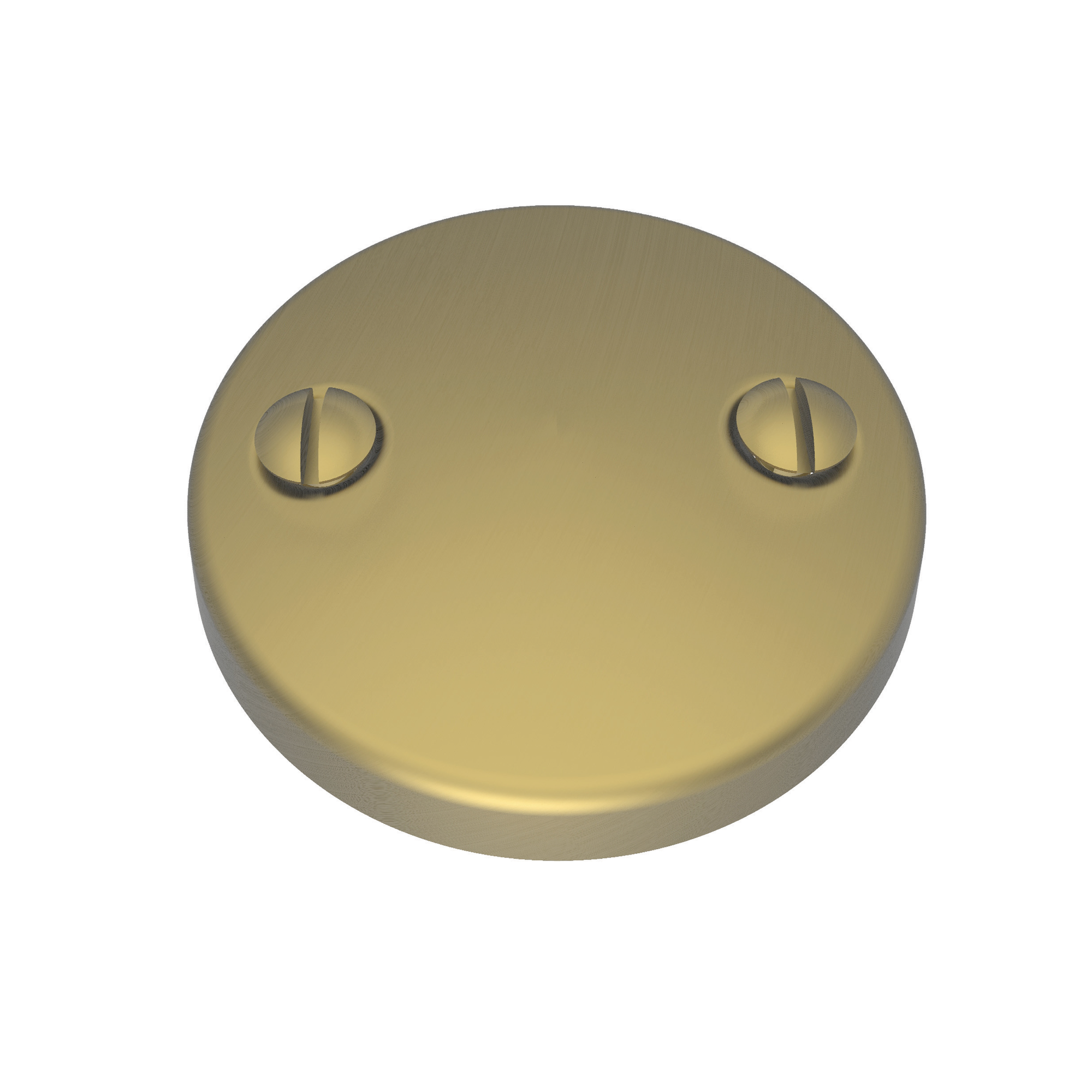 Newport Brass Brasstech Waste & Overflow Faceplate