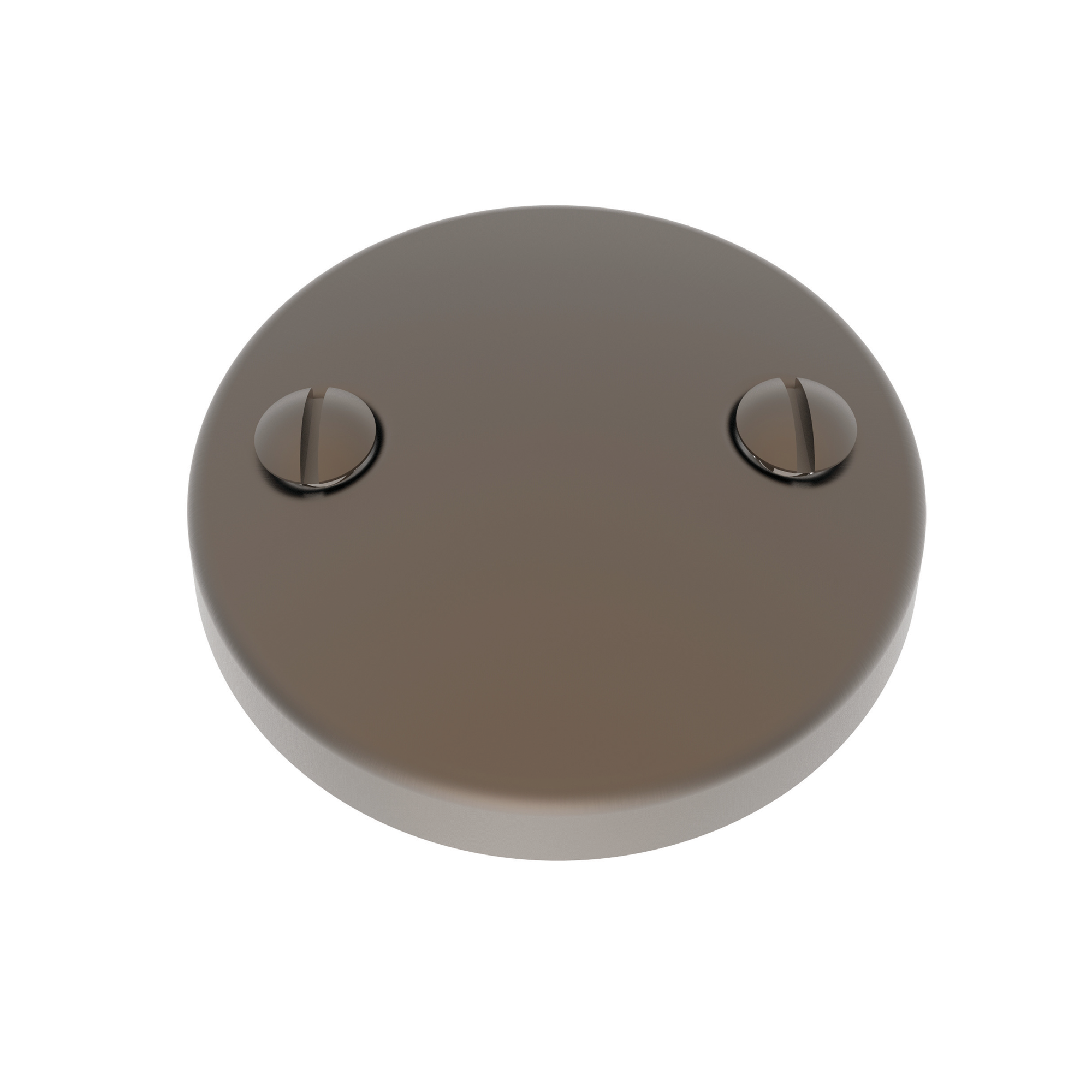 Newport Brass Brasstech Waste & Overflow Faceplate