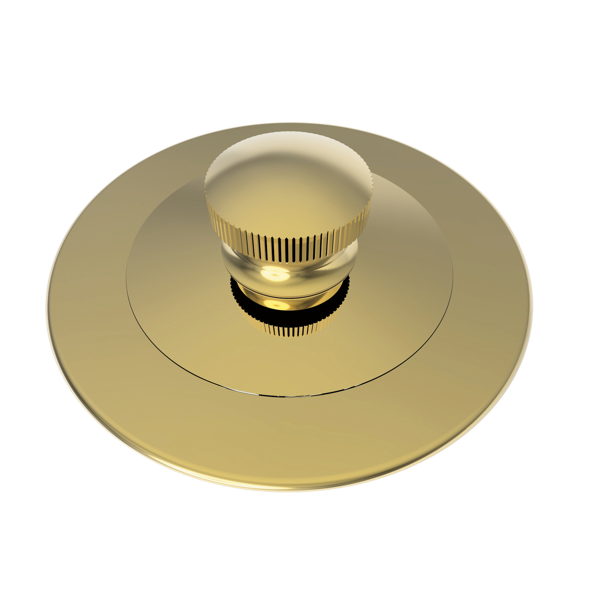 Newport Brass Brasstech Bath Plug