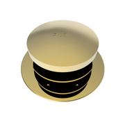 Newport Brass Brasstech Tub Drain