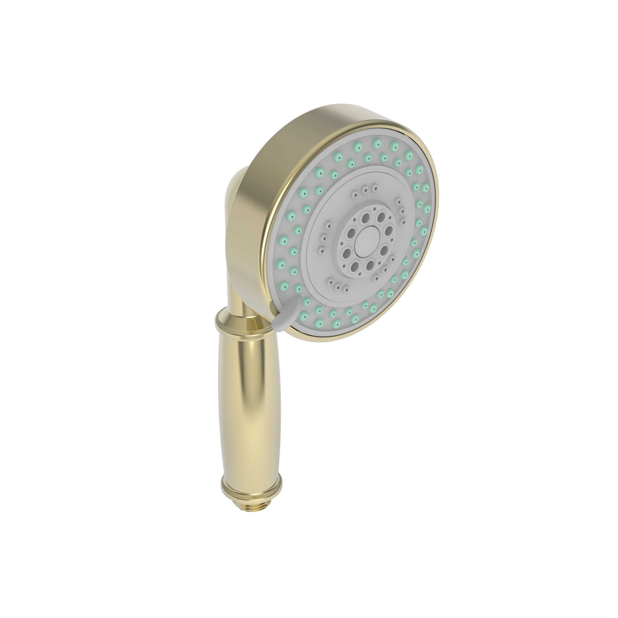 Newport Brass Other Multifunction Hand Shower