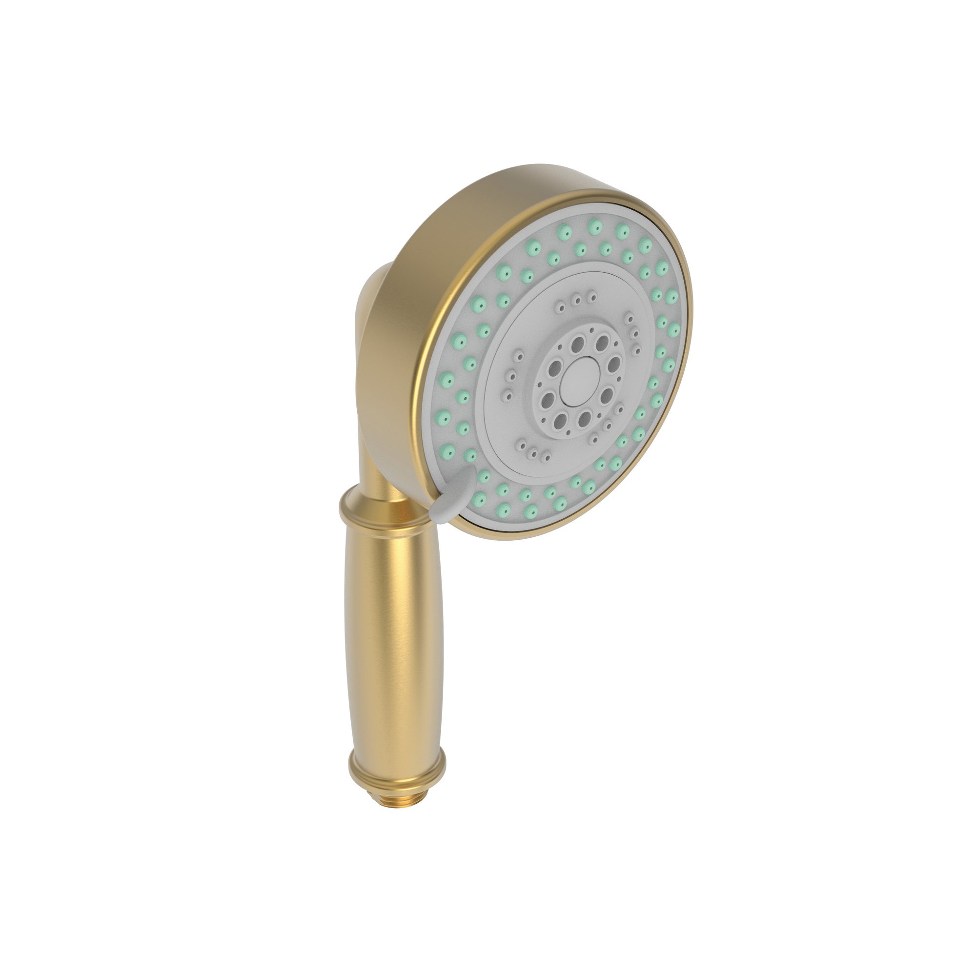Newport Brass Other Multifunction Hand Shower