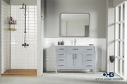 Fawna 48" Gray Bathroom Cabinet