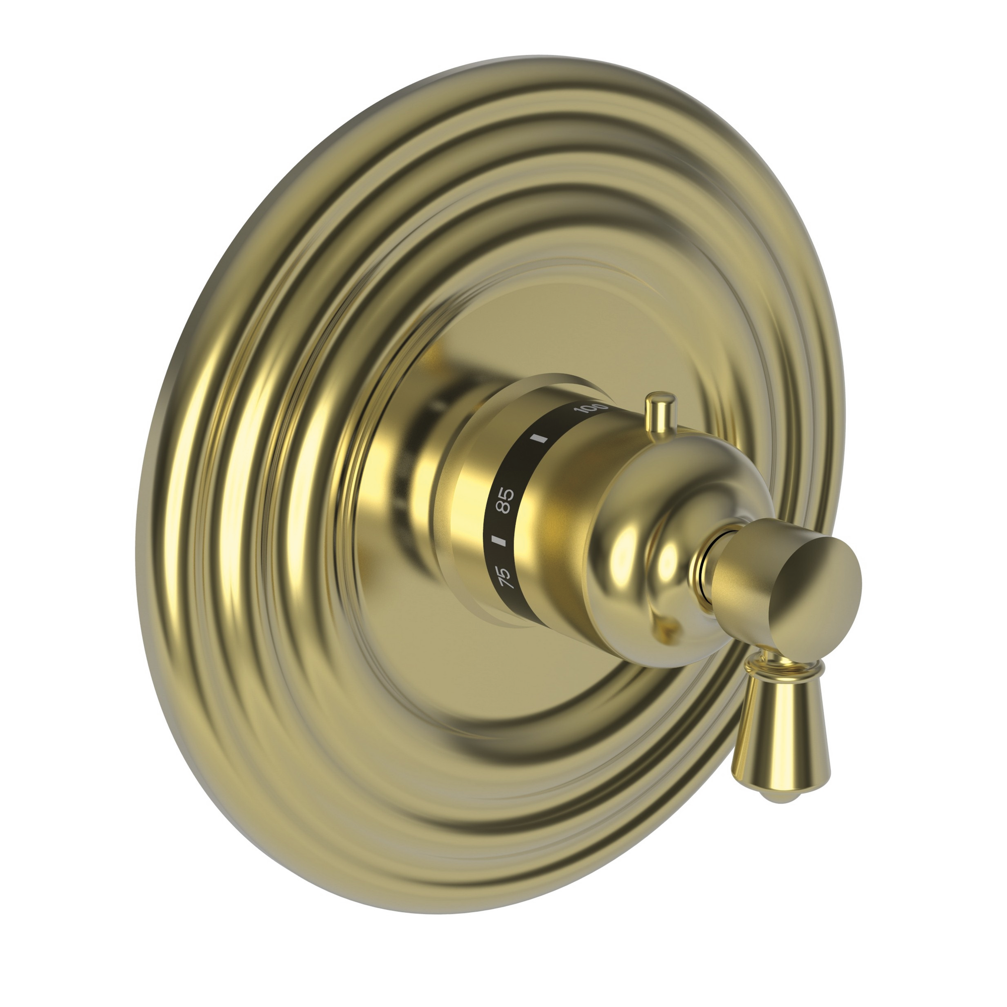 Newport Brass Metropole® 3/4" Round Thermostatic Trim Plate with Handle