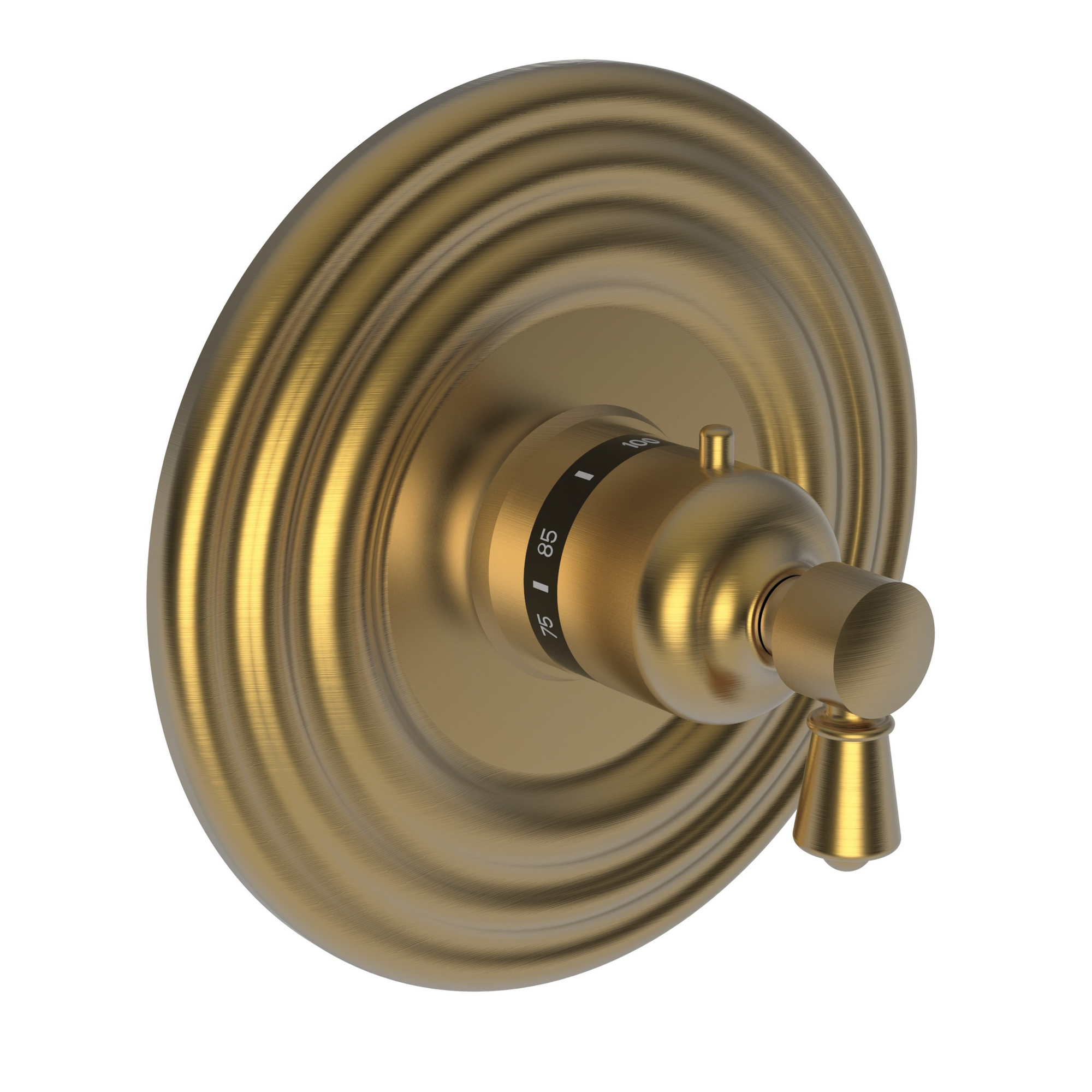 Newport Brass Metropole® 3/4" Round Thermostatic Trim Plate with Handle