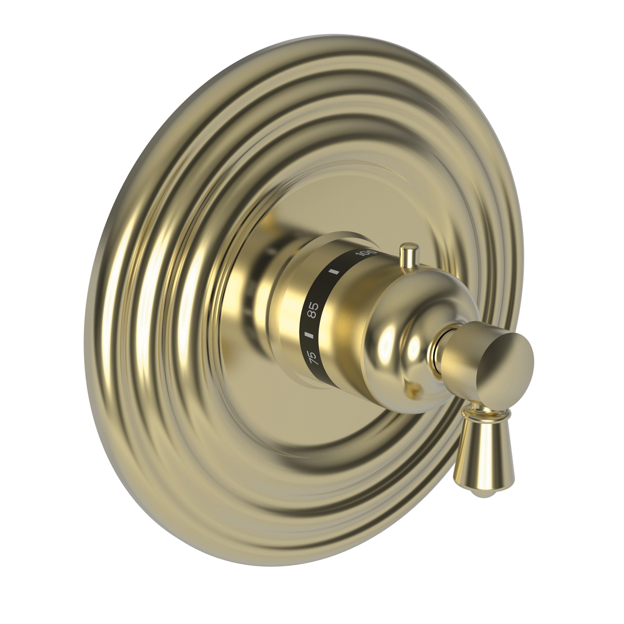 Newport Brass Metropole® 3/4" Round Thermostatic Trim Plate with Handle
