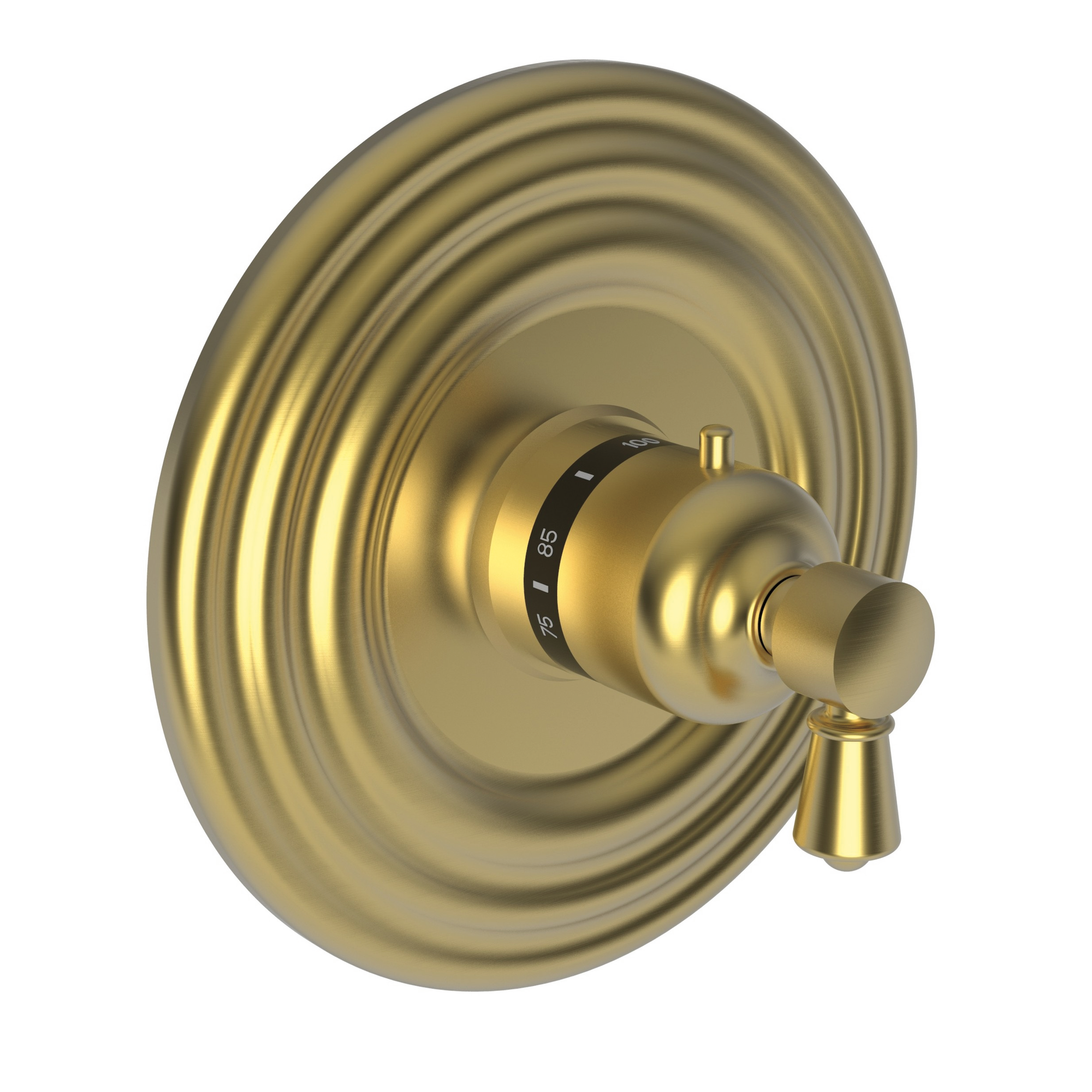 Newport Brass Metropole® 3/4" Round Thermostatic Trim Plate with Handle