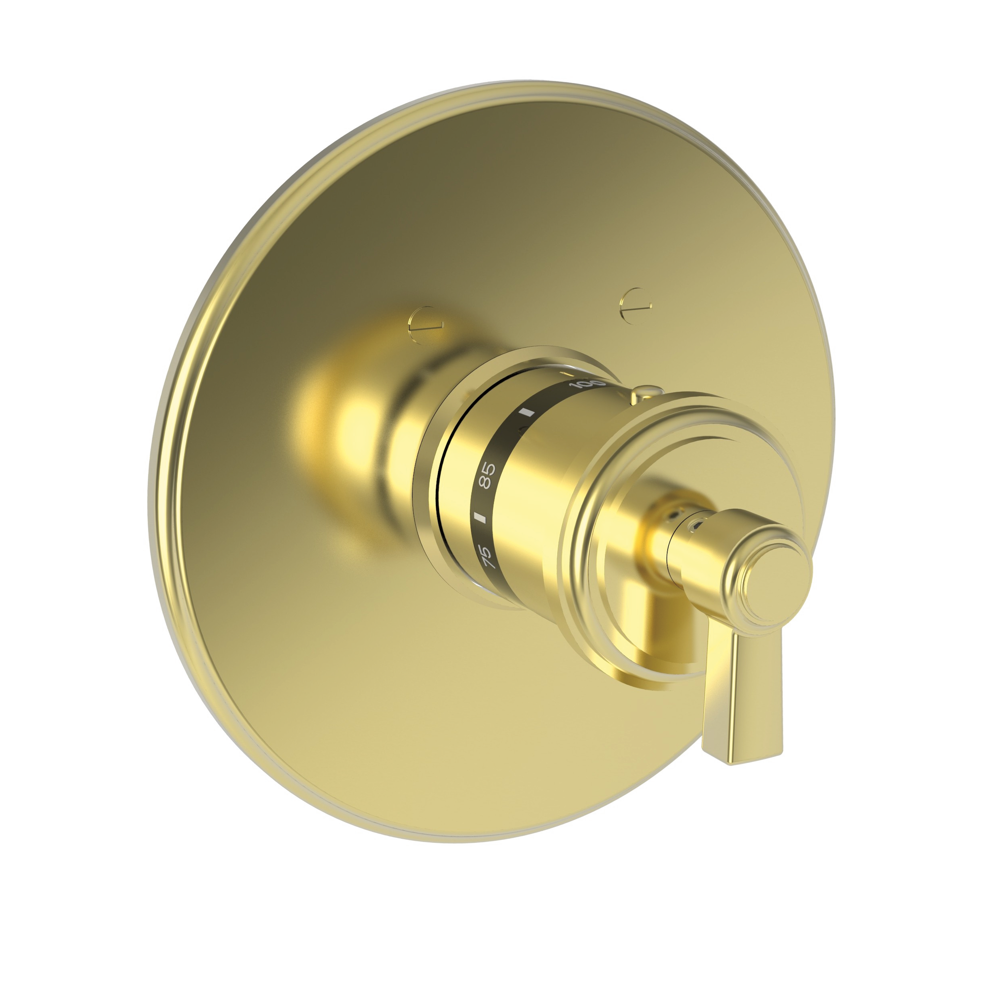 Newport Brass Miro 3/4" Round Thermostatic Trim Plate with Handle