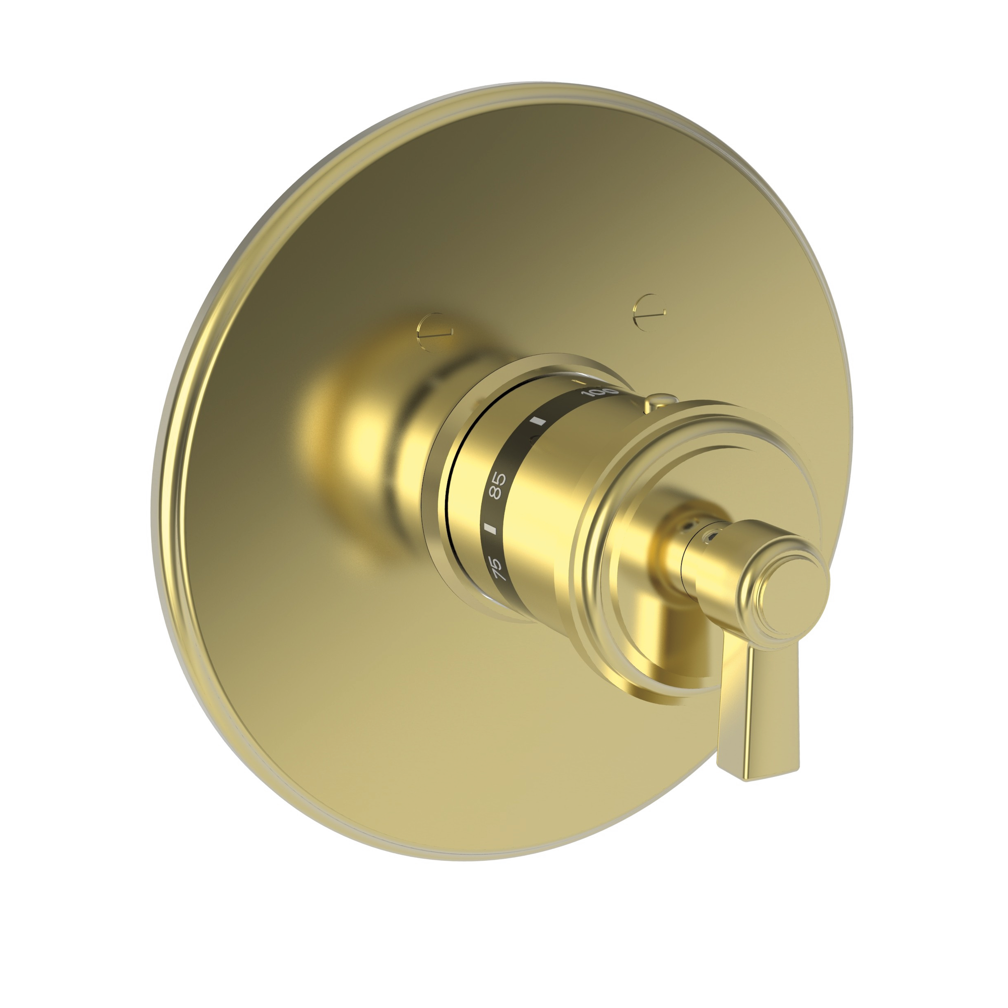 Newport Brass Miro 3/4" Round Thermostatic Trim Plate with Handle