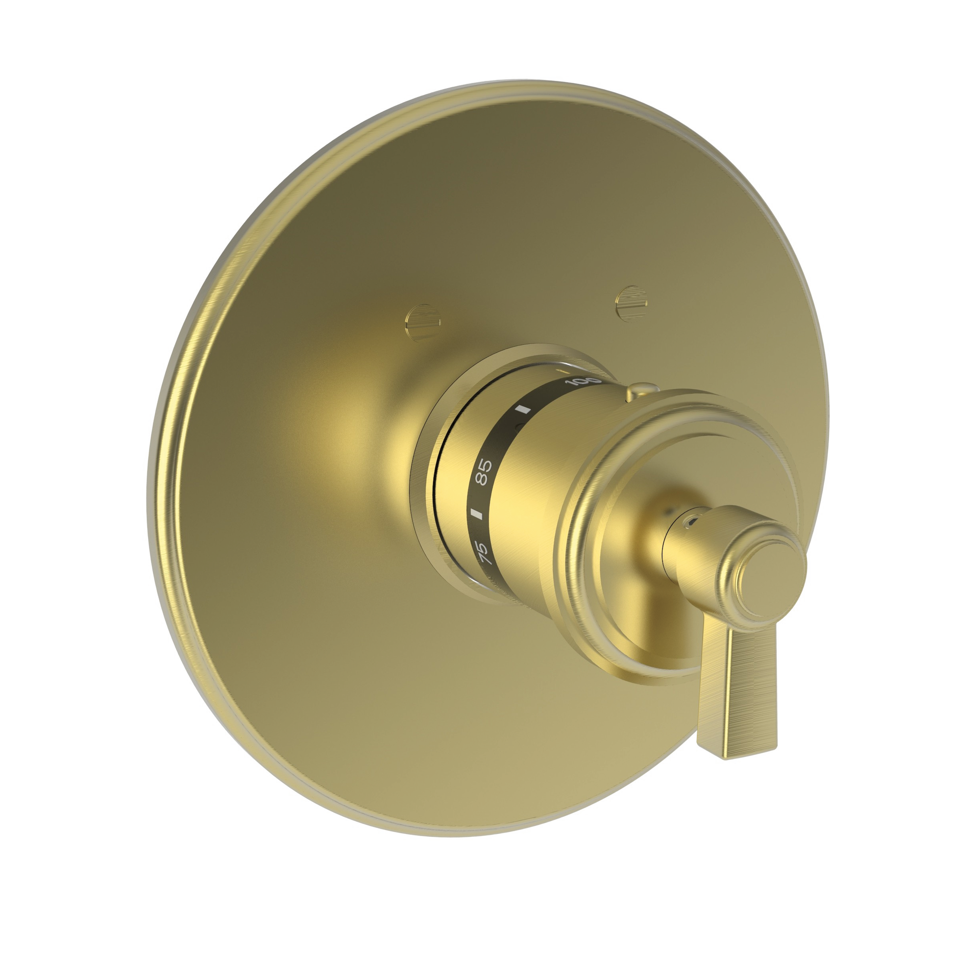 Newport Brass Miro 3/4" Round Thermostatic Trim Plate with Handle