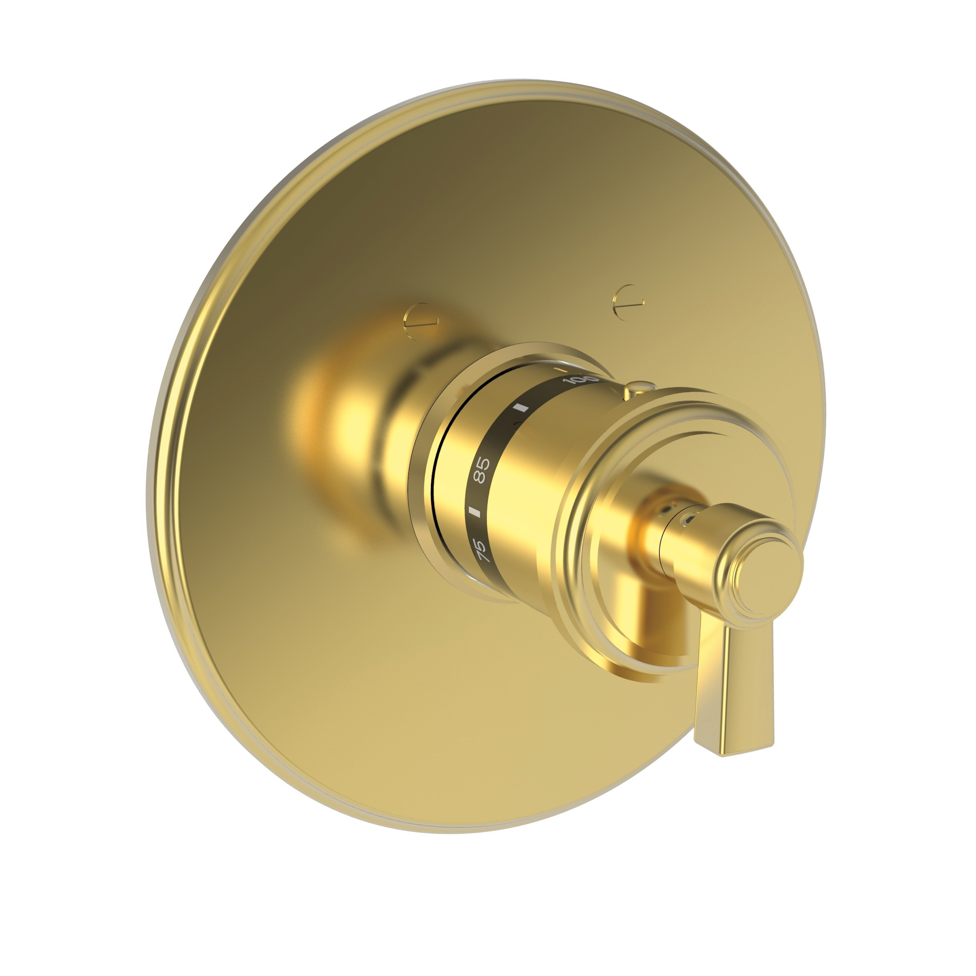 Newport Brass Miro 3/4" Round Thermostatic Trim Plate with Handle