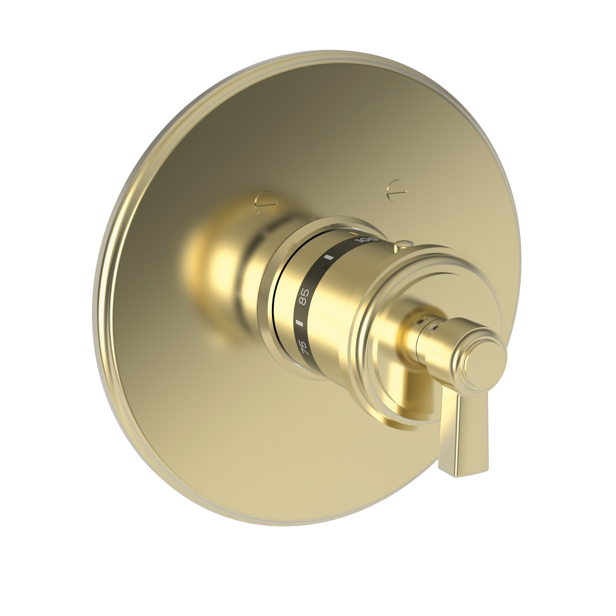 Newport Brass Miro 3/4" Round Thermostatic Trim Plate with Handle
